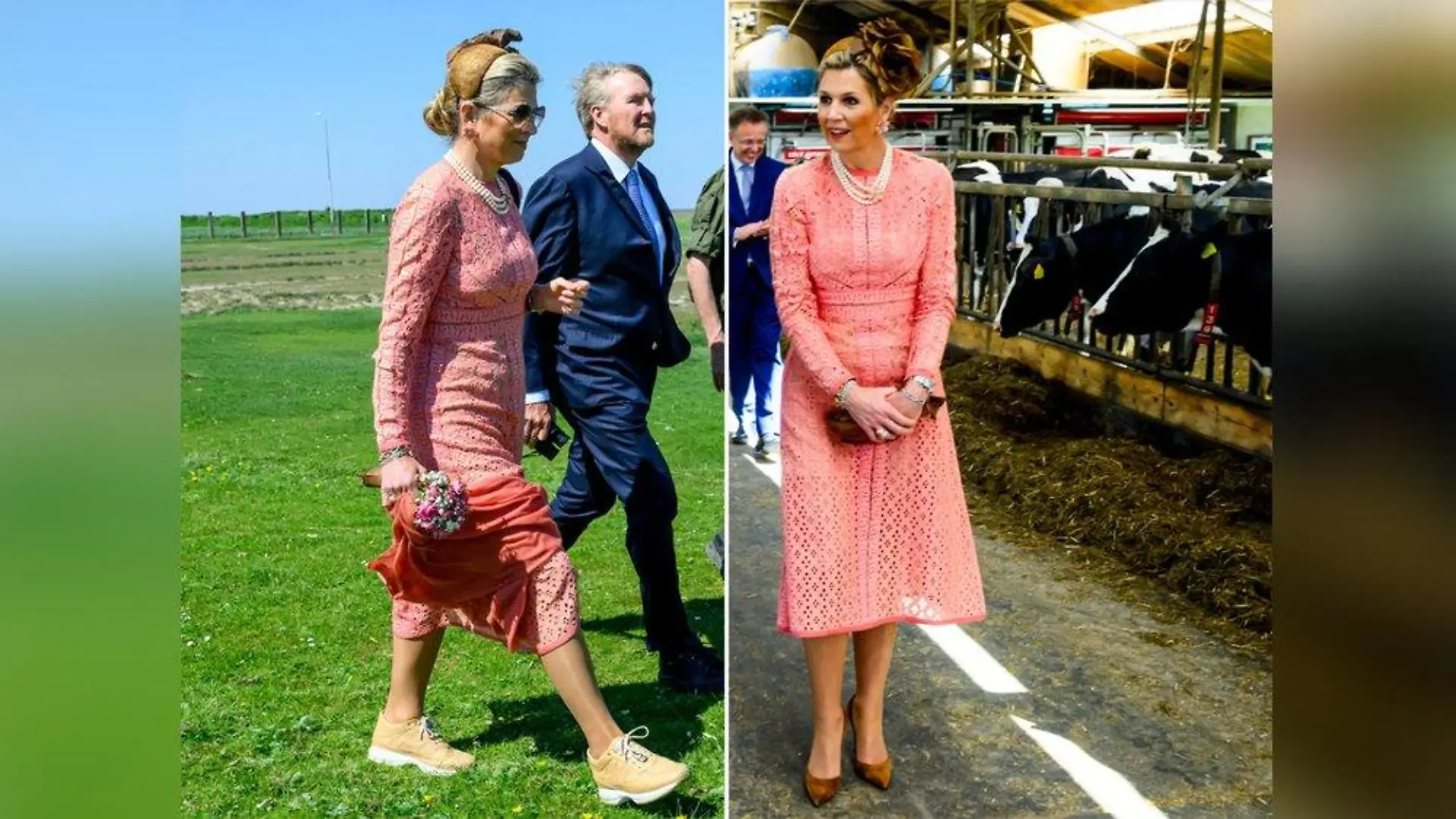 Schuhwechsel nötig: Willem-Alexander und Máxima im Kuhstall