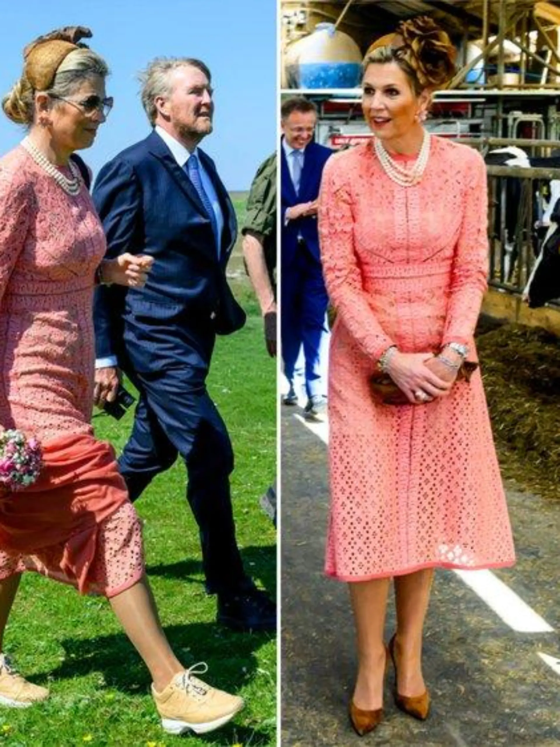 Schuhwechsel nötig: Willem-Alexander und Máxima im Kuhstall