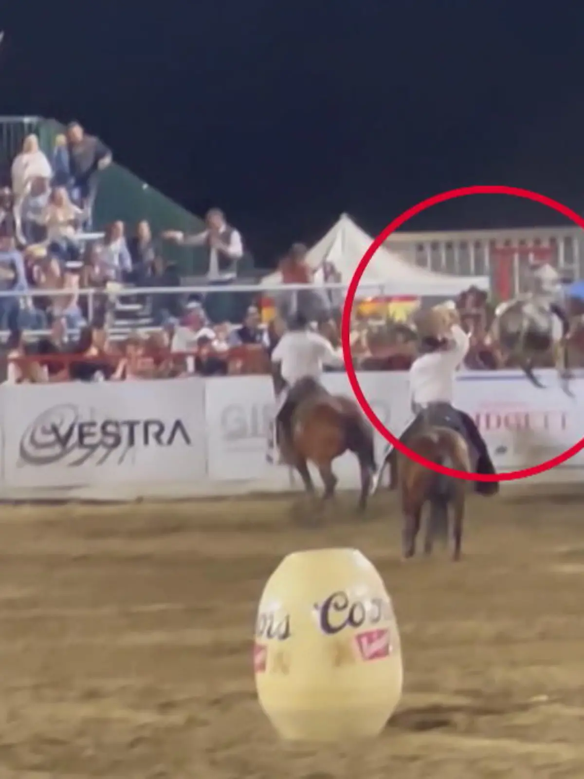 Beim Rodeo in Nordkalifornien hatte dieser Stier wohl endgültig die Schnauze voll vom Rumgehüpfe vor Menschenmassen. Er warf erst seinen Reiter ab und dann ging es ab durch die Hecke oder, besser gesagt, über die echt hohe Absperrung - Hauptsache weg.