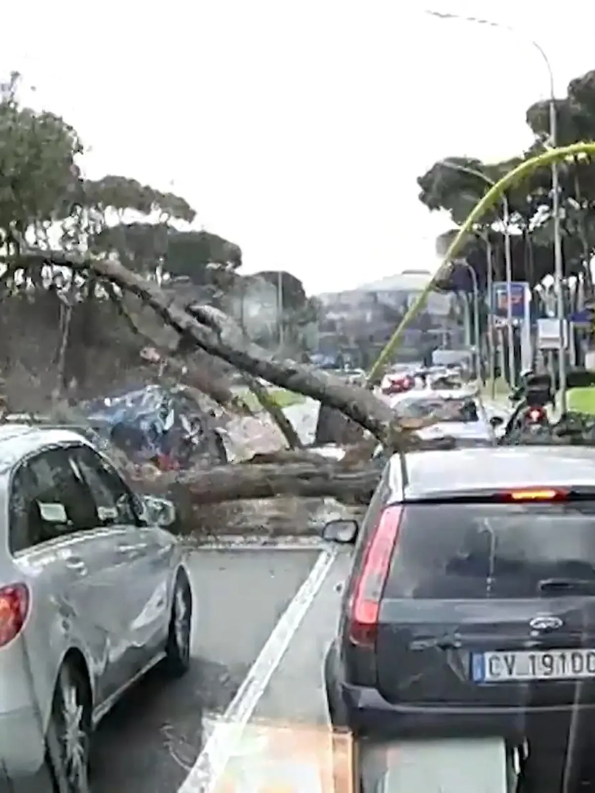 Mit einem lauten Knall begräbt ein Baum in Rom an einer Ampel wartende Autos unter sich. Ein Motorradfahrer entkommt wegen einer grünen Ampel gerade so dem sicheren Tod. Mehr seht ihr im Video!