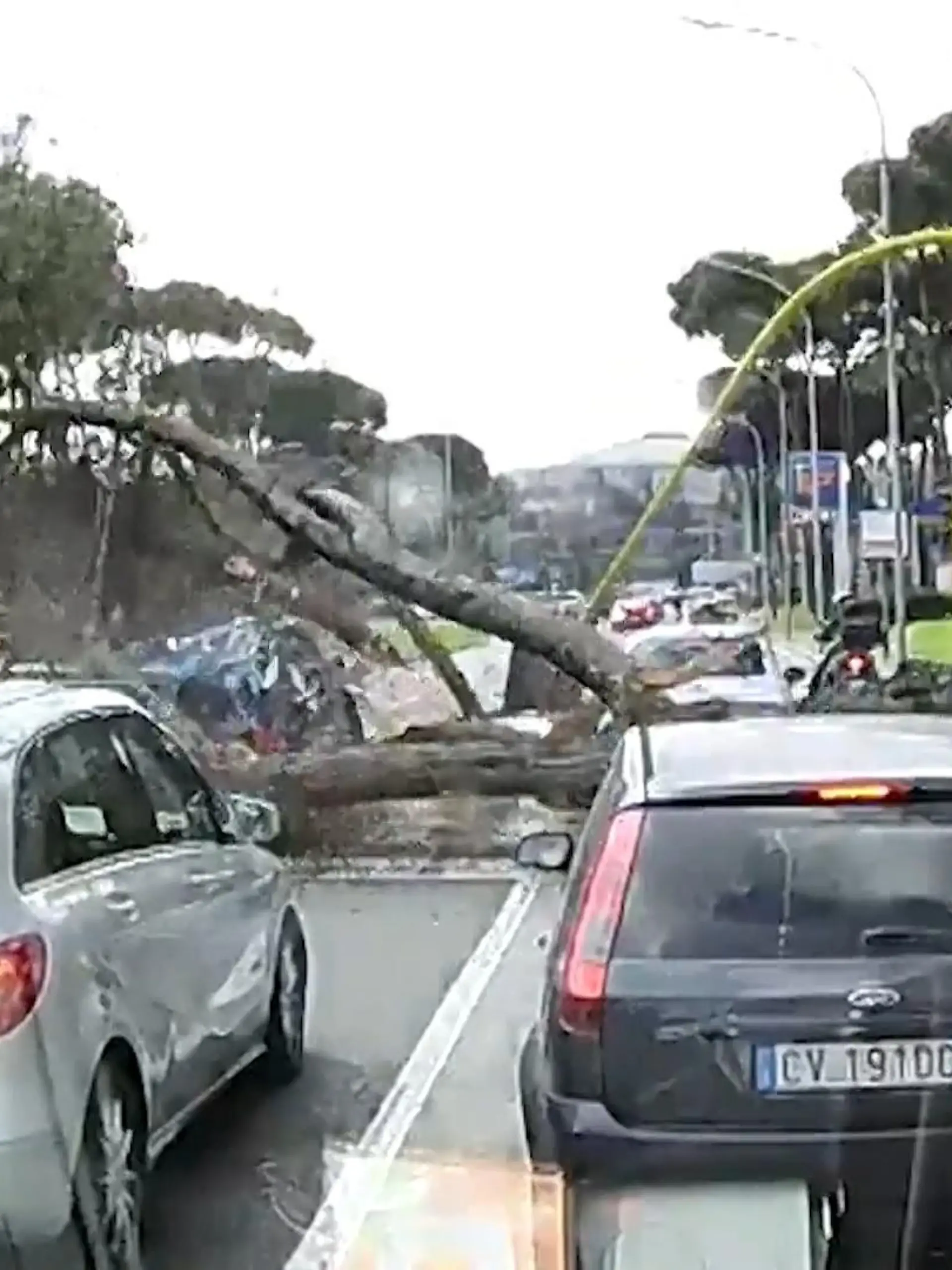 Mit einem lauten Knall begräbt ein Baum in Rom an einer Ampel wartende Autos unter sich. Ein Motorradfahrer entkommt wegen einer grünen Ampel gerade so dem sicheren Tod. Mehr seht ihr im Video!
