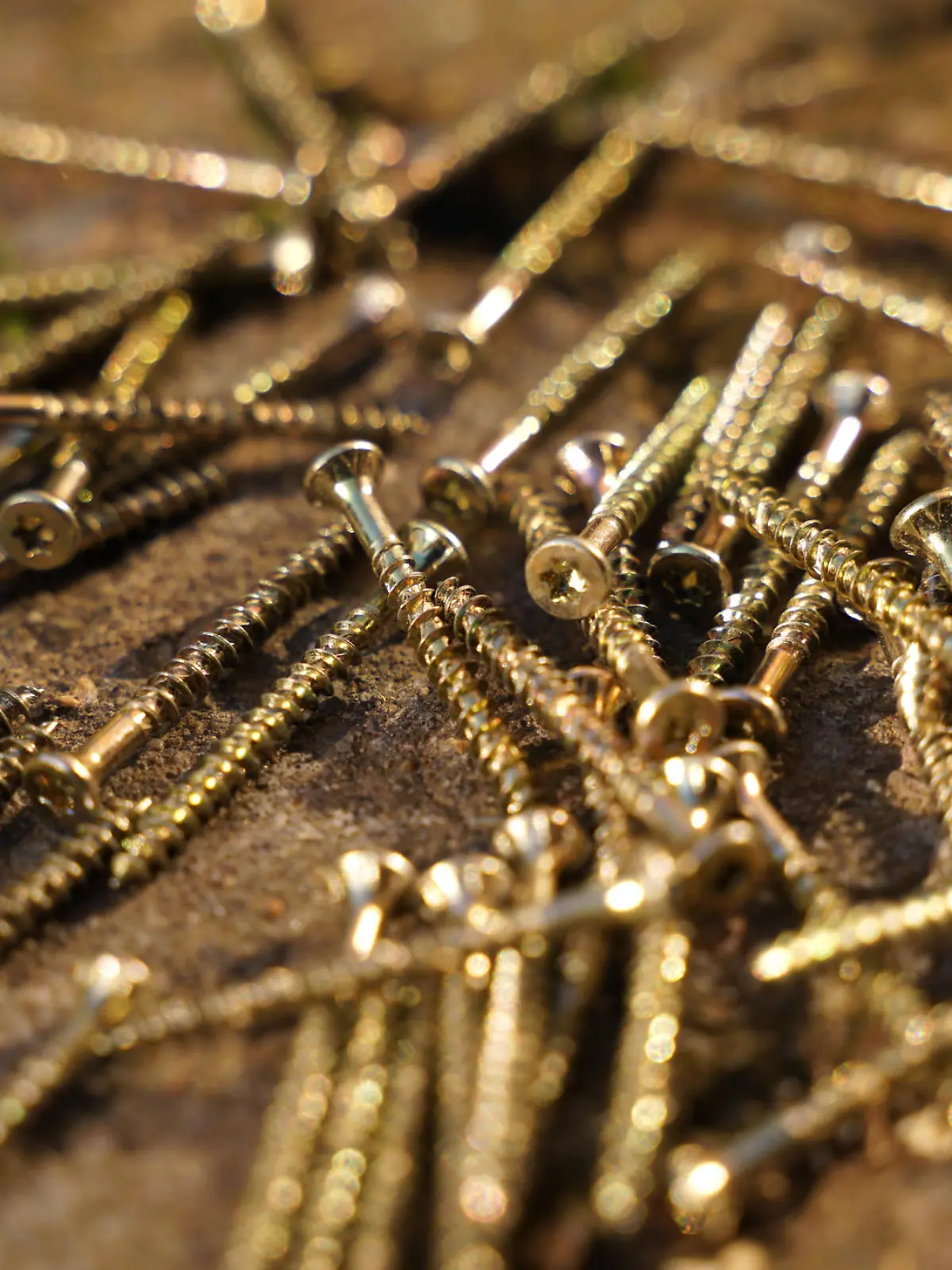 Torx screws laying on the floor, ready to be used