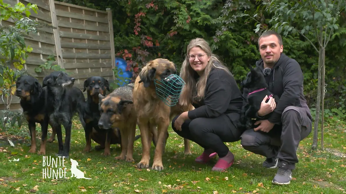Willkommen bei der härtesten Hundegang Powerrudel