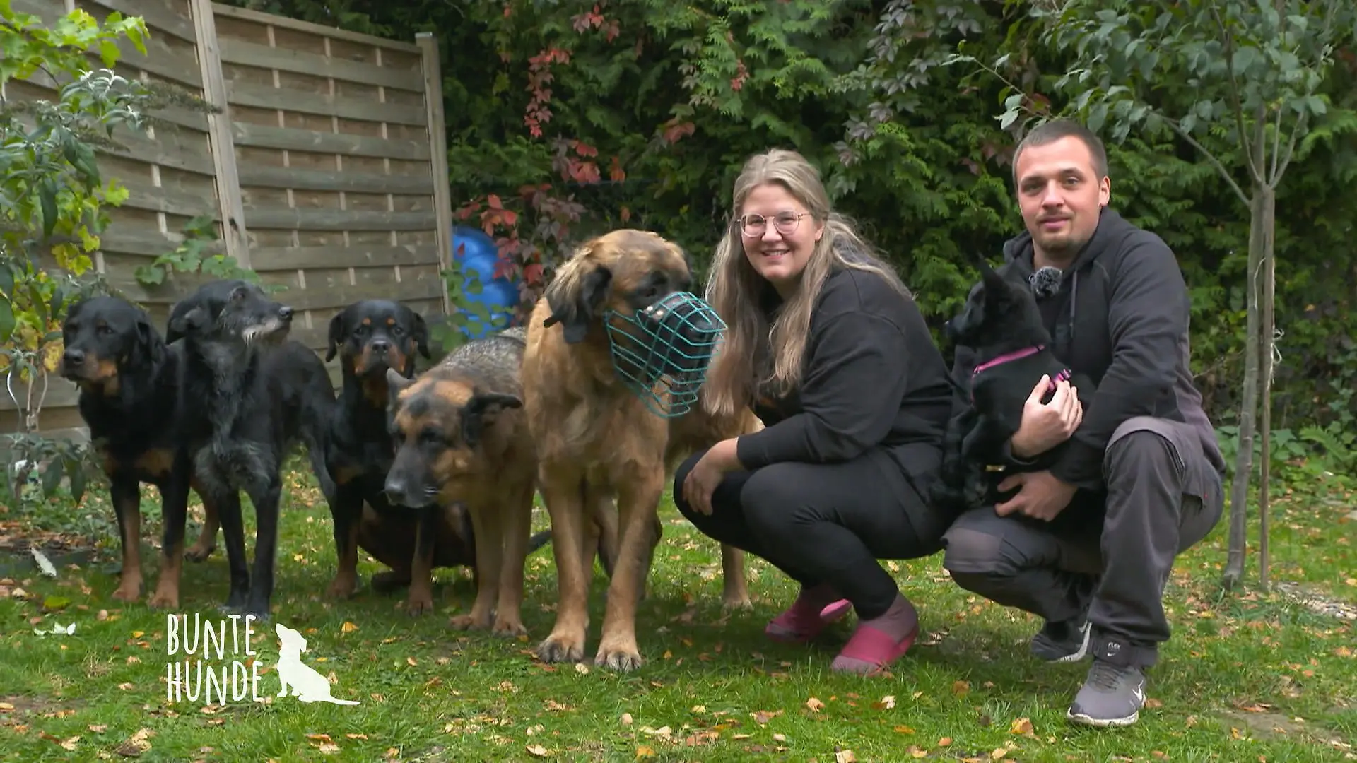 Willkommen bei der härtesten Hundegang Powerrudel