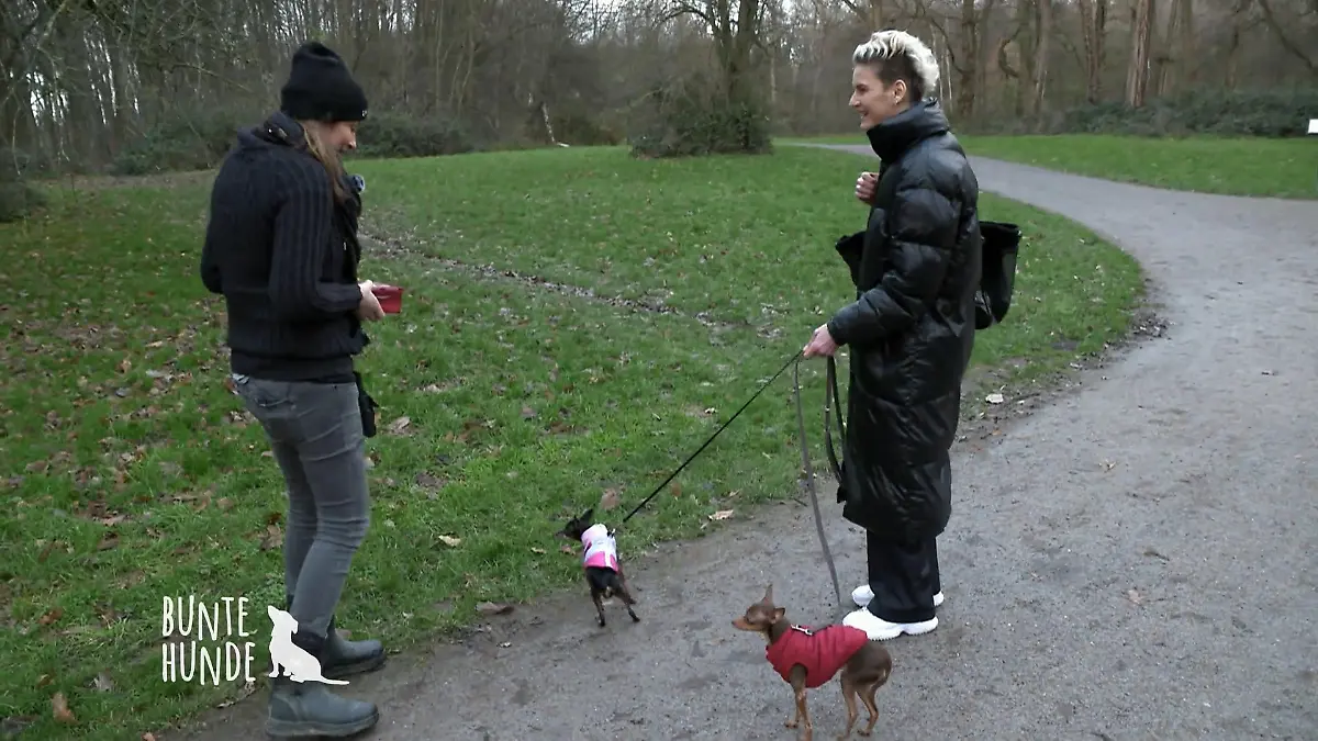 Großes Kläfferproblem bei Louisas Zwerghunden Hundetraining nach 5 Jahren