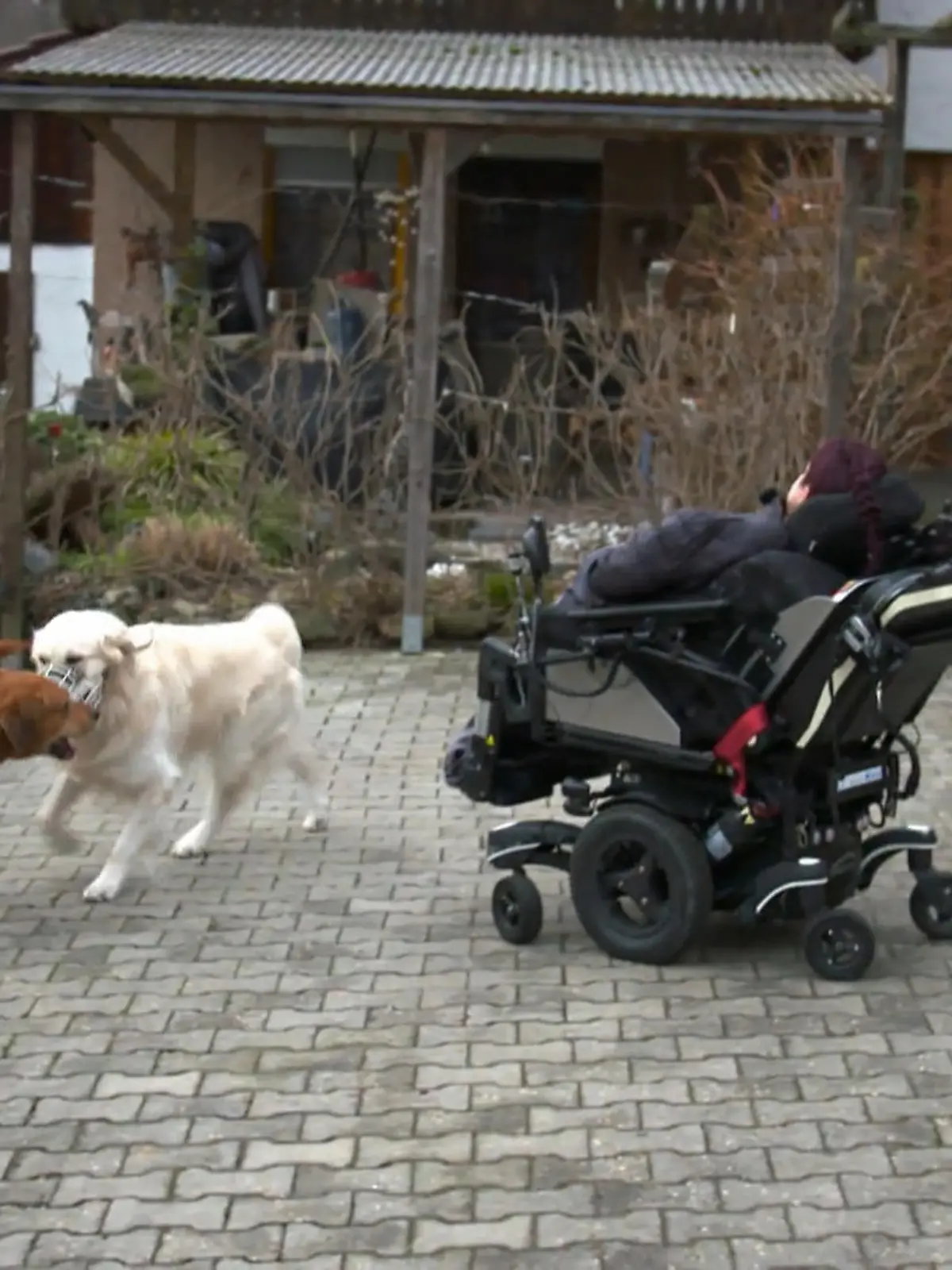 Bild zu: "Das Erziehungs-Bootcamp von Denise"