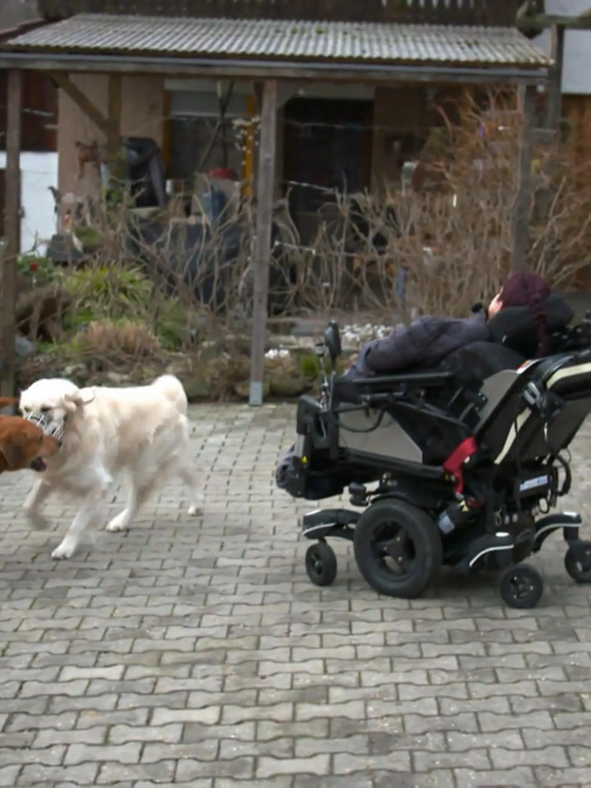 Bild zu: "Das Erziehungs-Bootcamp von Denise"