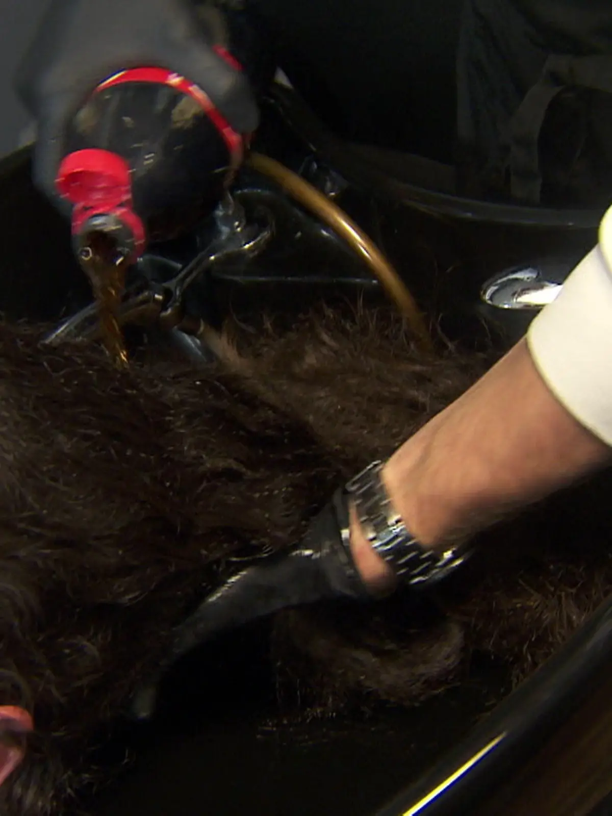 Was kann Cola für unsere Haare tun? Dieser Frage ist RTL nachgegangen und hat den Social Media Trend ausprobiert. Macht Cola unser Haar wirklich glänzender? Im Video seht ihr, was bei unserer Reporterin nach der Softdrink-Haarkur passiert ist.