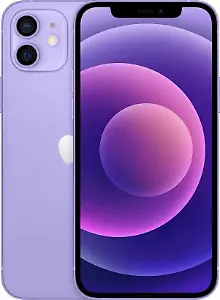 iPhone 11 in Lila