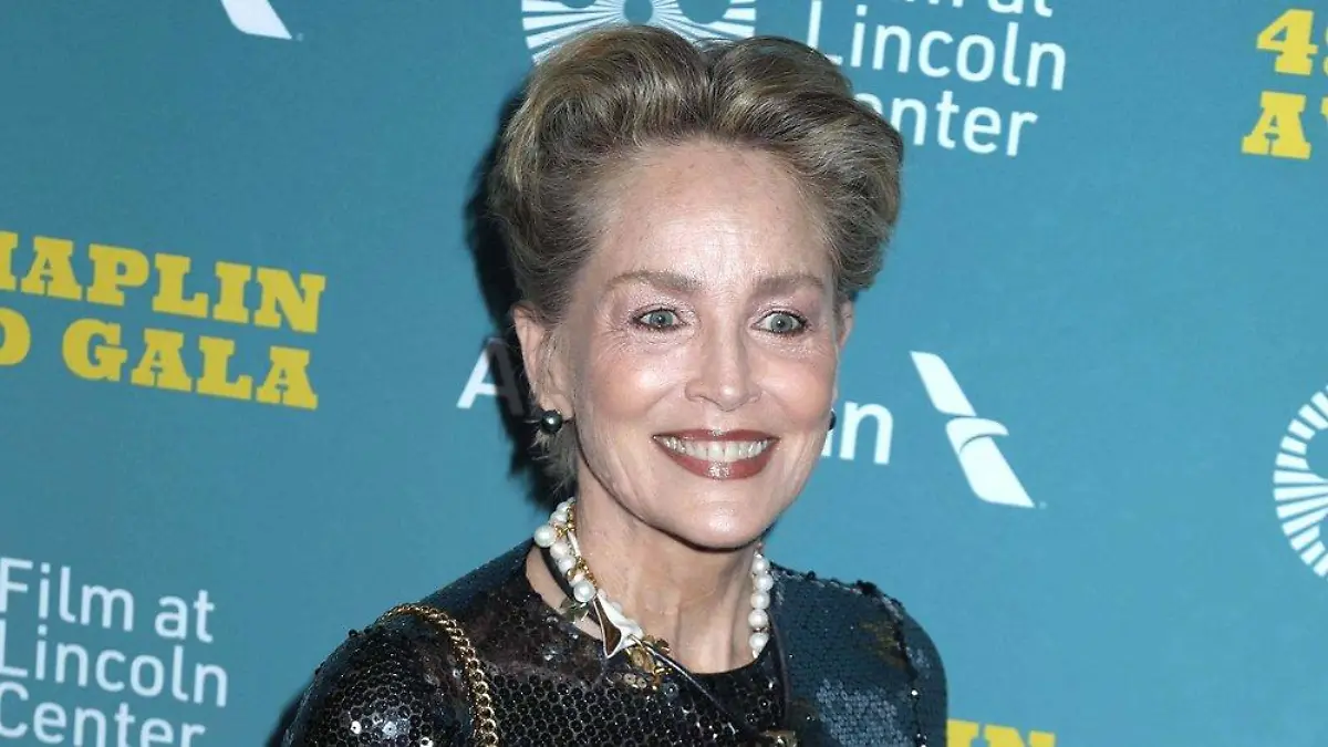 Sharon Stone möchte nach Schlaganfall ihre Karriere zurückhaben
