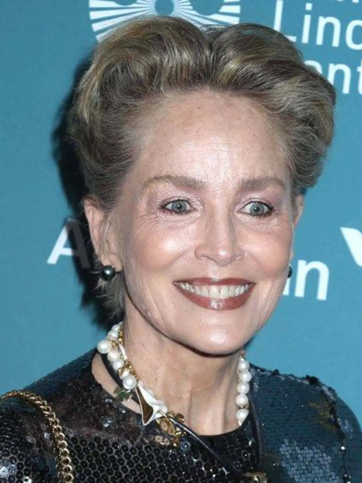 Sharon Stone möchte nach Schlaganfall ihre Karriere zurückhaben