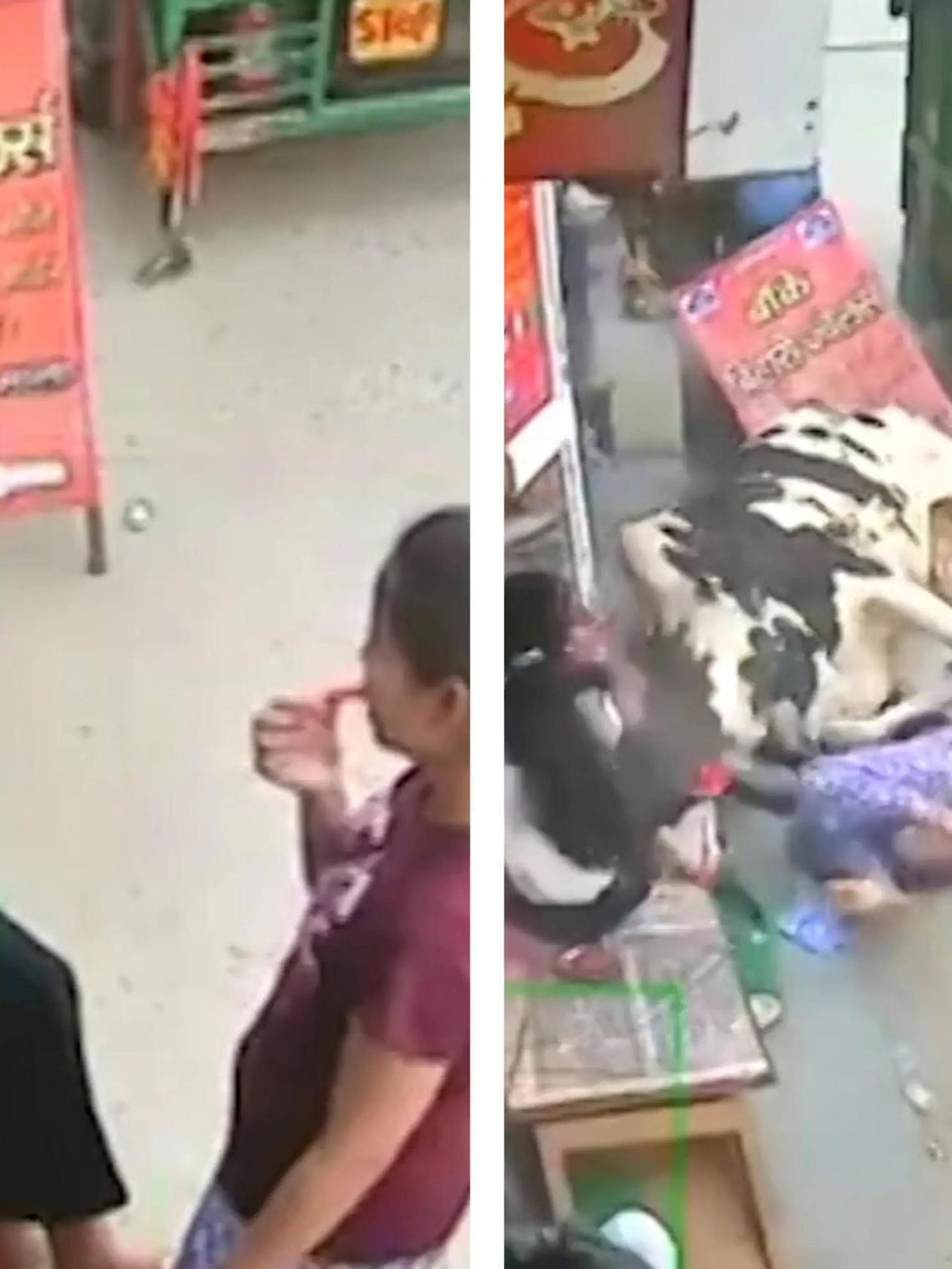 Drei Schülerinnen sitzen zusammen vor einem Geschäft in Delhi, unterhalten sich und genießen ein paar Snacks. Dann werden sie abrupt unterbrochen, als zwei Kühe auf sie zustürmen. Eines der Mädchen wird von einem der Tiere sogar mitgerissen. Zum Glück wurde niemand ernsthaft verletzt. Die heftigen Szenen seht ihr im Video.