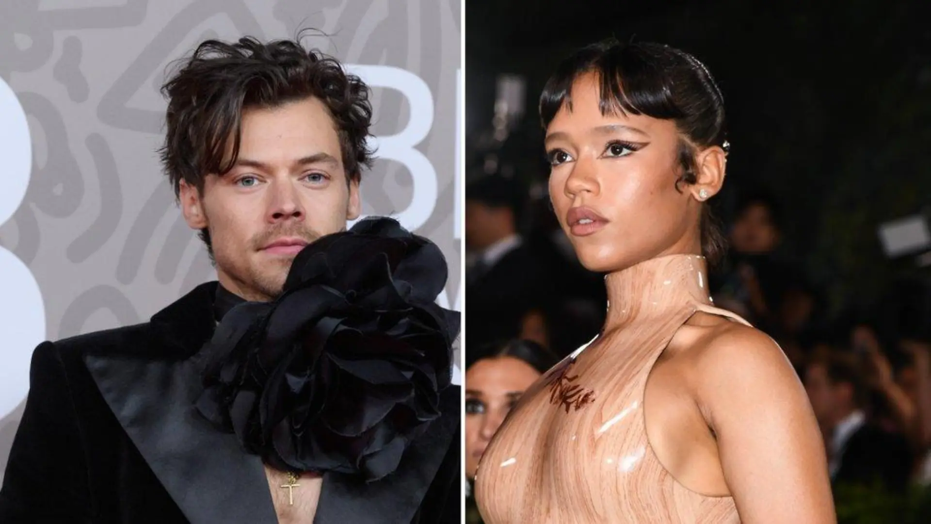 Harry Styles und Taylor Russell sollen sich getrennt haben