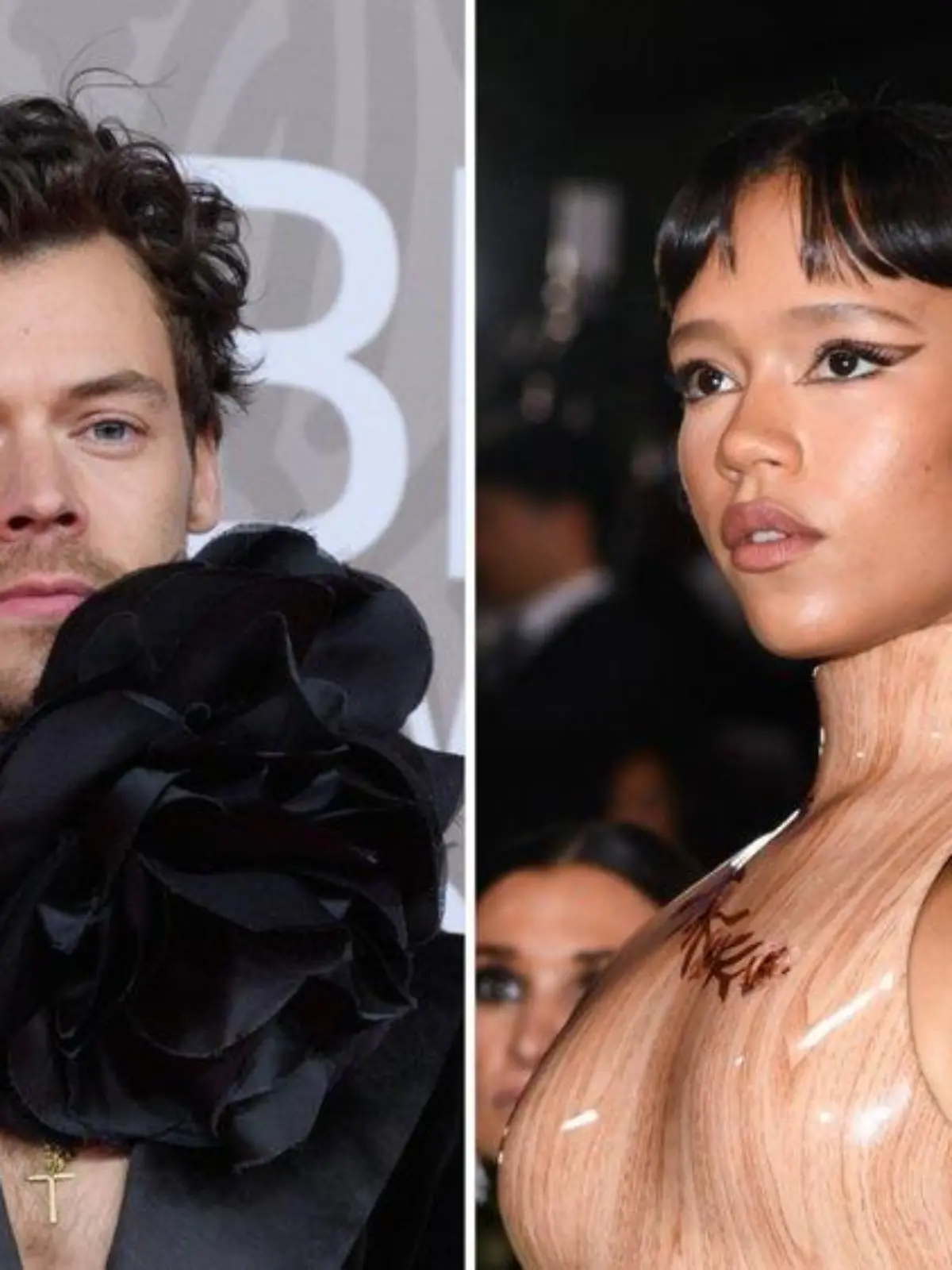 Harry Styles und Taylor Russell sollen sich getrennt haben