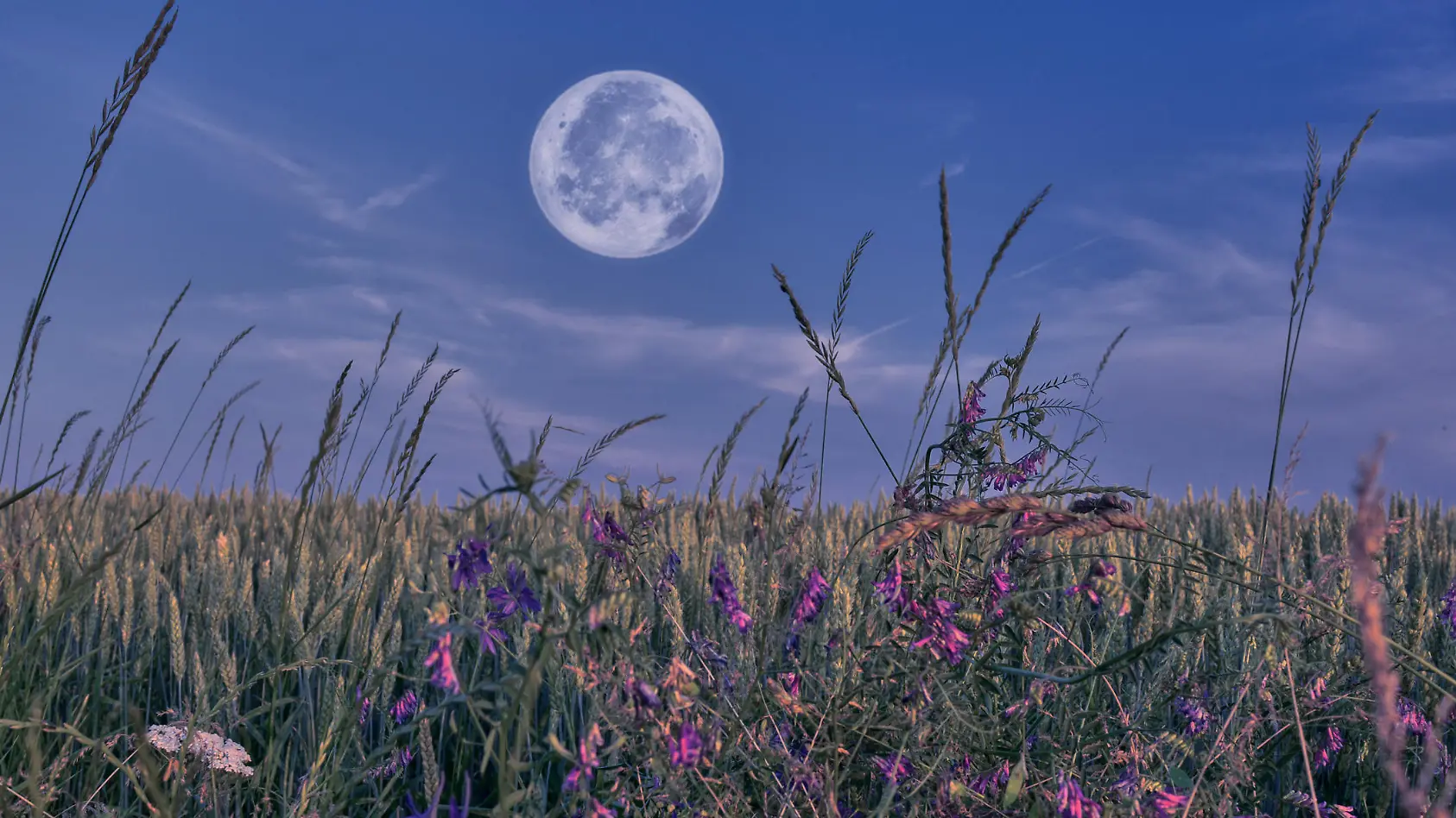 Wie ihr vom Blumenmond profitiert!