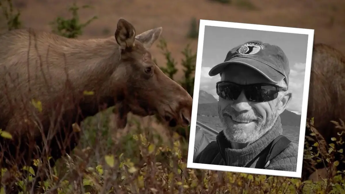 Wildtierfotograf Dale C. stirbt, weil er versucht hat, eine Elchfamilie zu fotografieren.