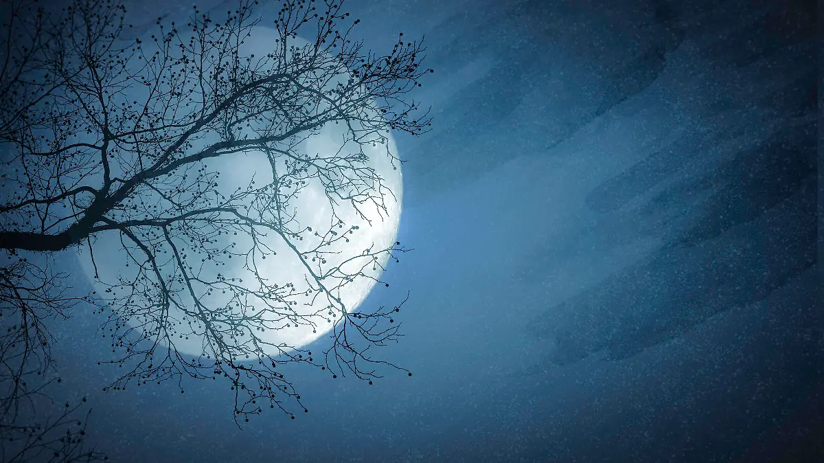 Night Scene of Pale Full Moon and Tree Silhouette -  Copy Space  - Watercolor Background.  Elements of this image furnished by NASA - URL: https://www.nasa.gov/sites/default/files/thumbnails/image/pia00405orig.jpg
