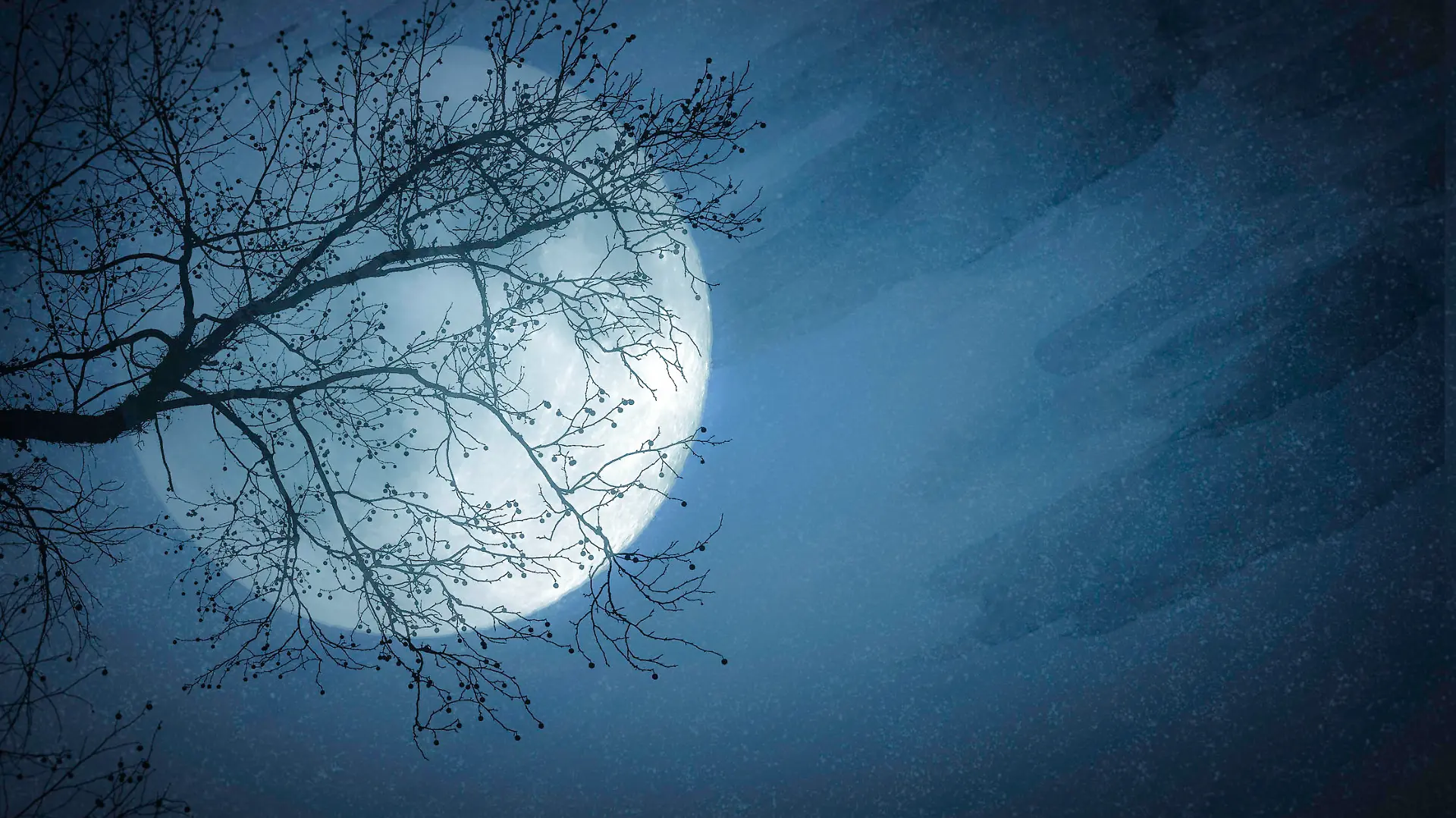 Night Scene of Pale Full Moon and Tree Silhouette -  Copy Space  - Watercolor Background.  Elements of this image furnished by NASA - URL: https://www.nasa.gov/sites/default/files/thumbnails/image/pia00405orig.jpg