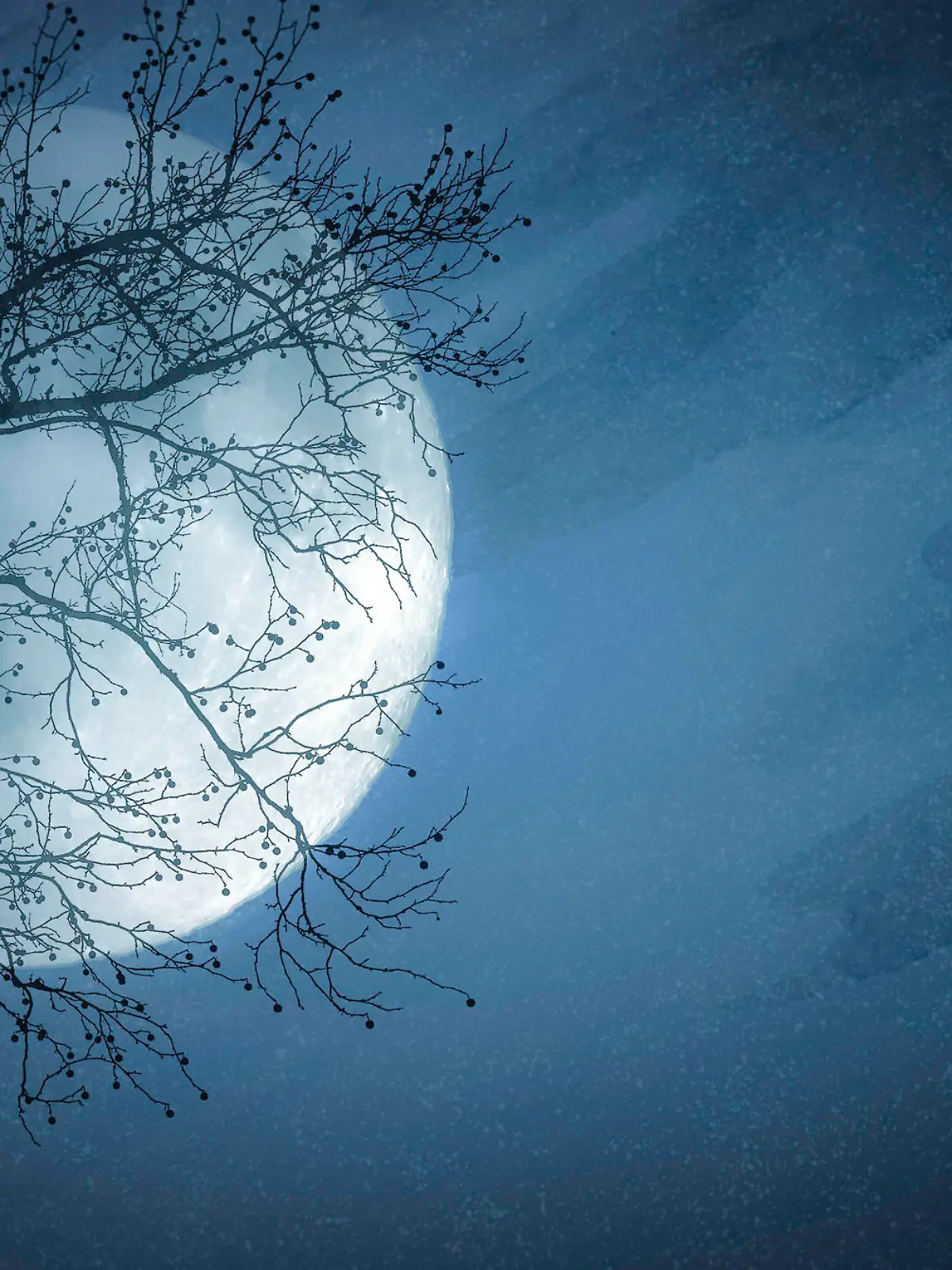 Night Scene of Pale Full Moon and Tree Silhouette -  Copy Space  - Watercolor Background.  Elements of this image furnished by NASA - URL: https://www.nasa.gov/sites/default/files/thumbnails/image/pia00405orig.jpg