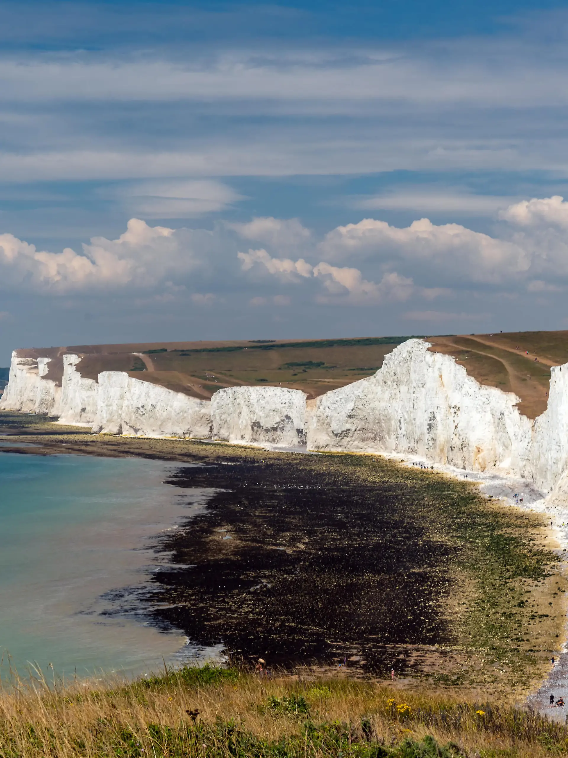 Weisse Kreidefelsen in der Nähe von Eastbourne an der Südküste Englands