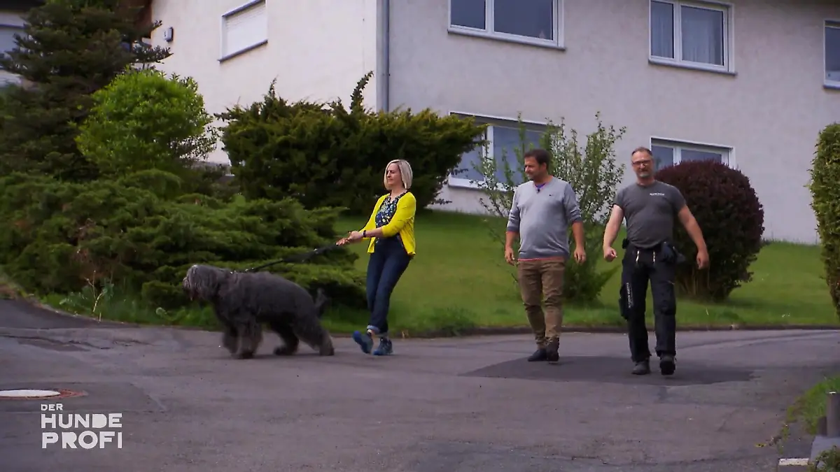 Beim Gassi gehen rastet Hund Poldi aus Völlig hysterisch