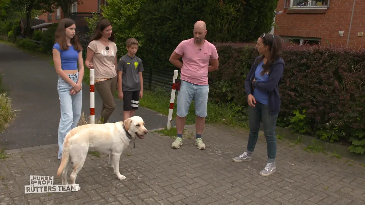 "Da können wir ein Häkchen hinter machen" Hausaufgaben erledigt