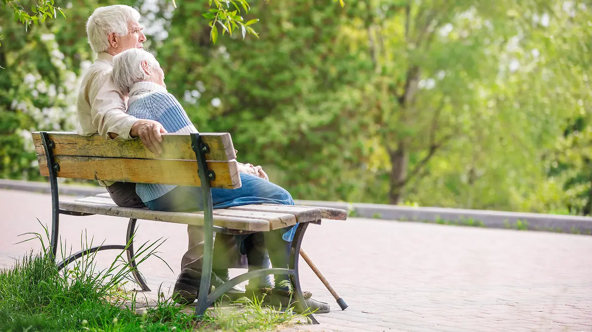 Elderly couple resting on a bench in the park