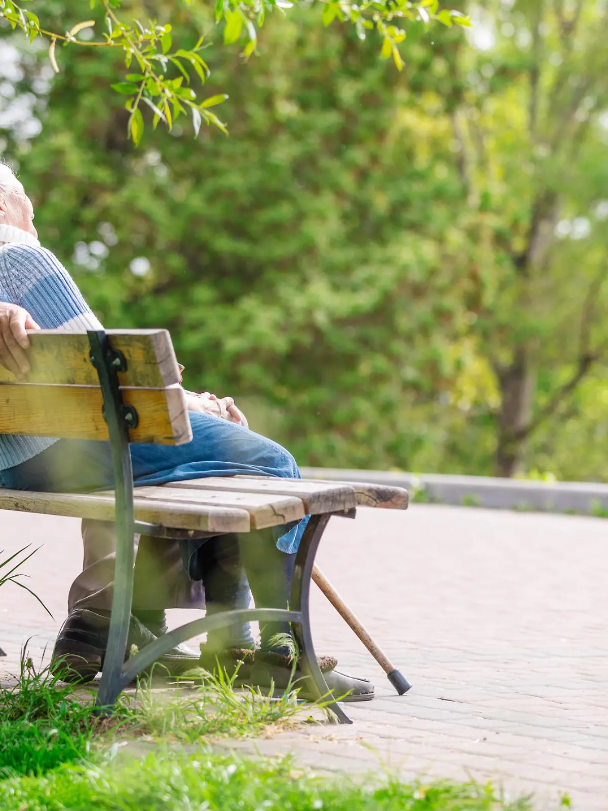 Elderly couple resting on a bench in the park