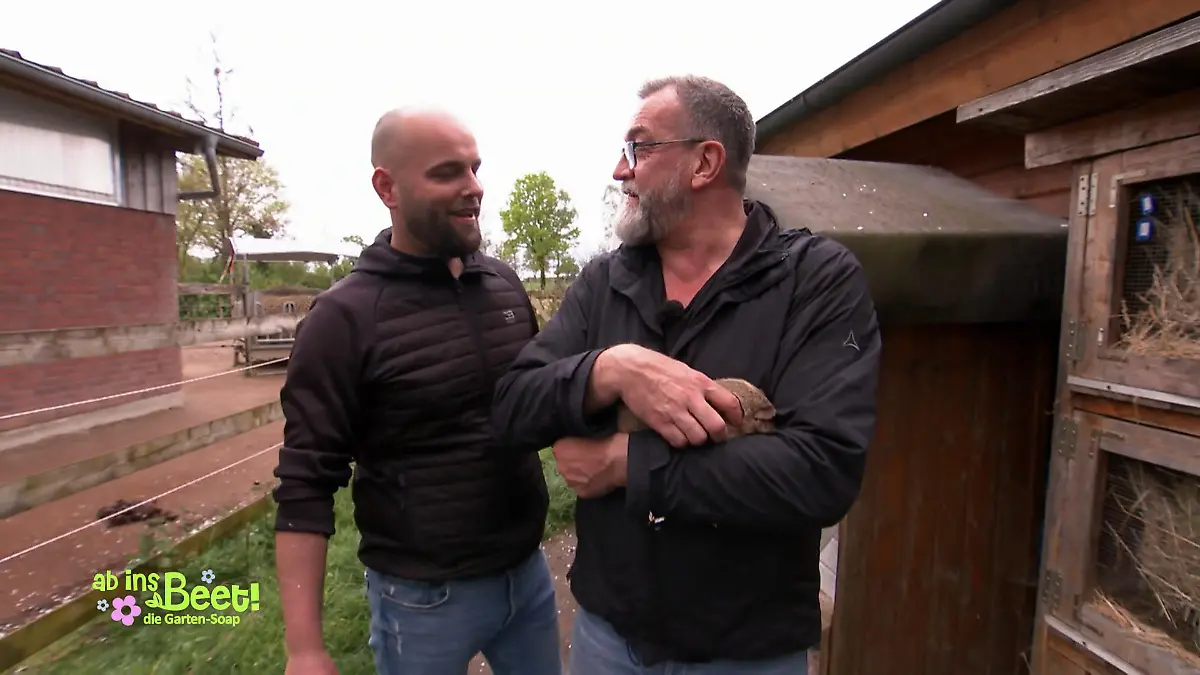 Kreative Namen für 36 Meerschweinchen Großer Spaß für das Ehepaar