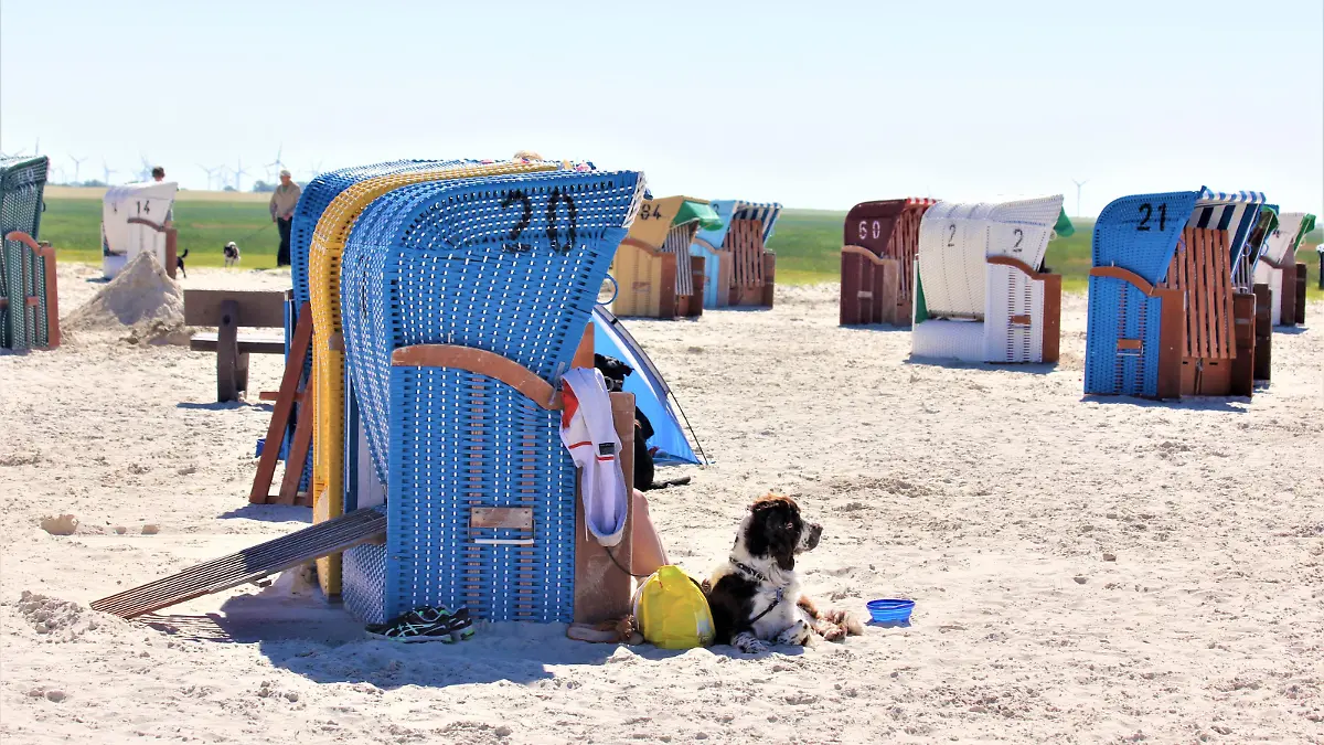 Am Hundestrand in Neßmersiel gehört die Entspannung in der Sonne genau so dazu wie das Toben im Sand.