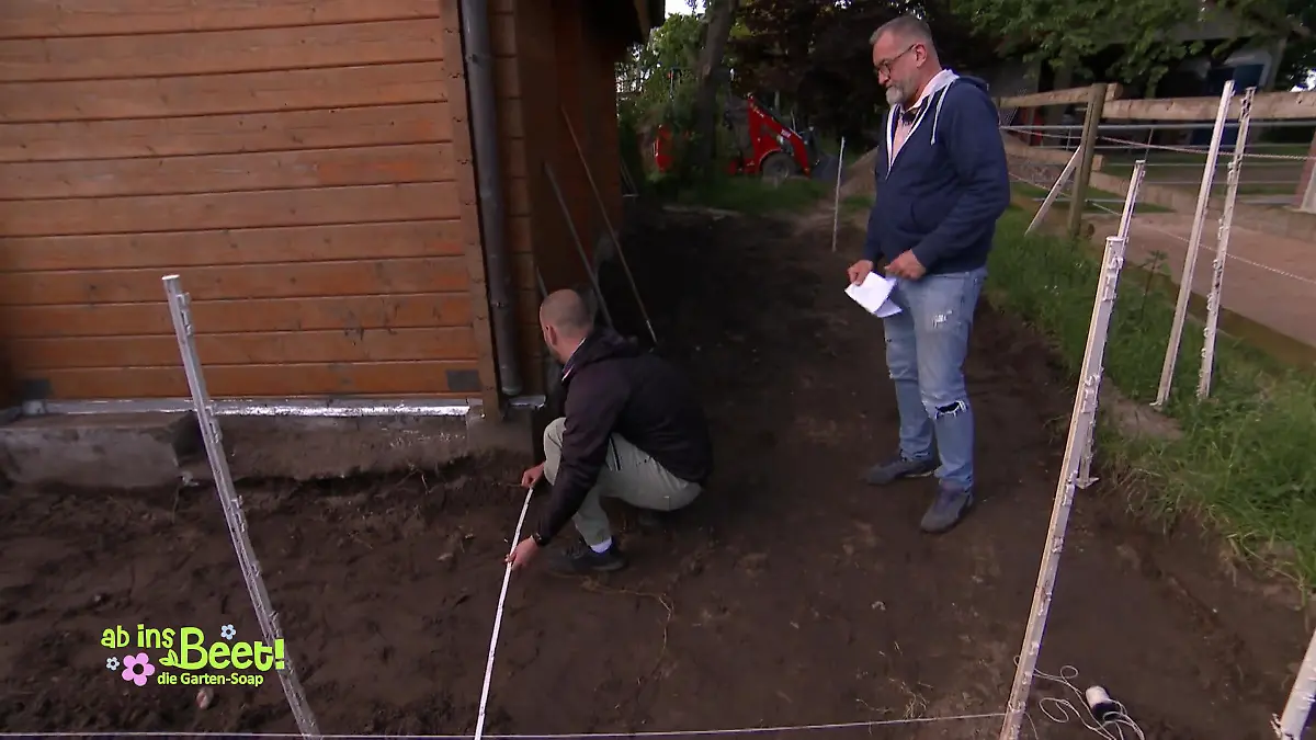 Dennis und seine Neurose - Alles muss gerade sein Genaue Abmessungen