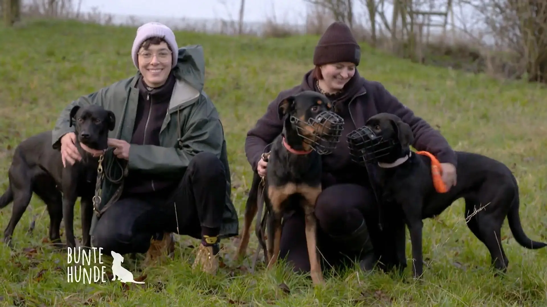 Ihre Hundepension zieht um Tina und Rike