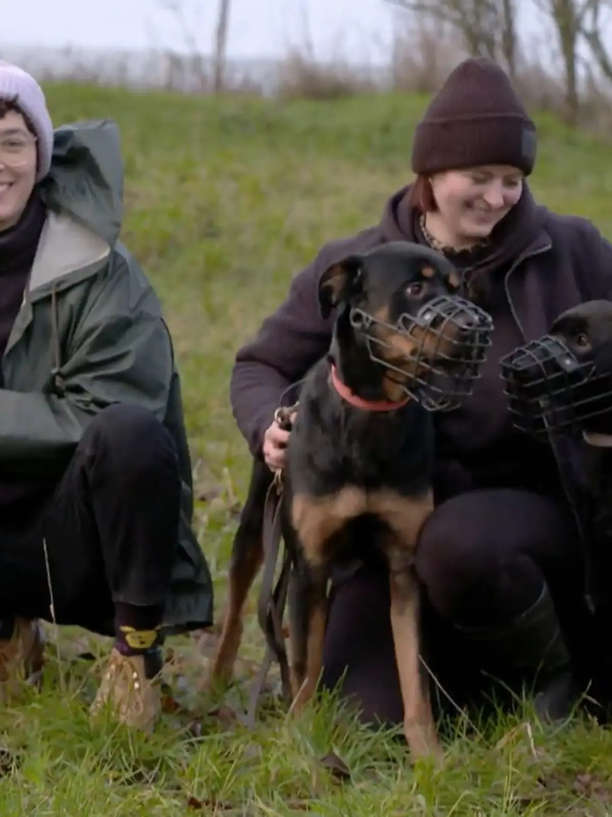 Bild zu: "Ihre Hundepension zieht um"