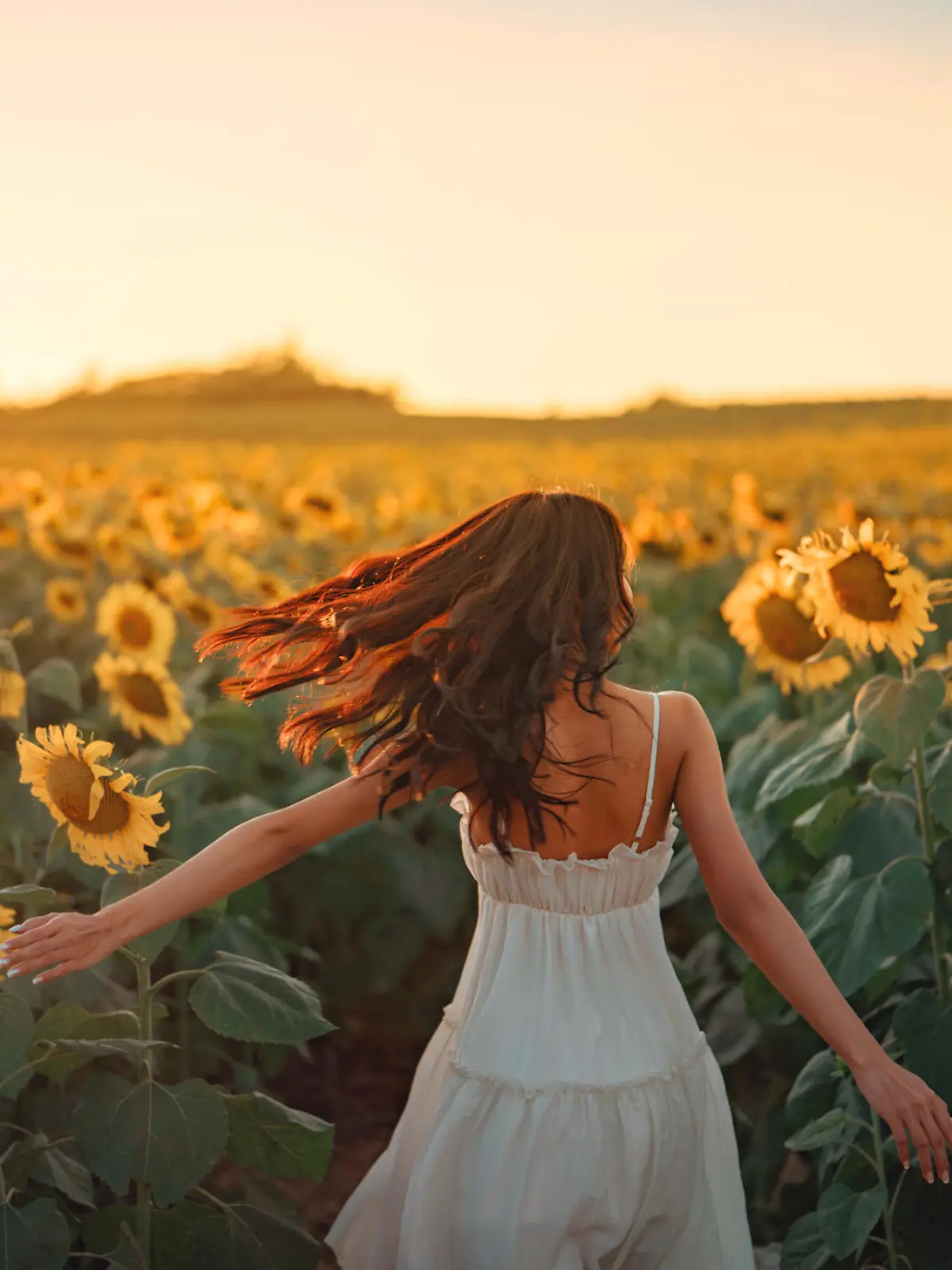 Carefree Happy beautiful young woman in white dress opened arms up in air and looking at sunset in a large field of sunflowers, Freedom concept, Enjoyment, Summer time.