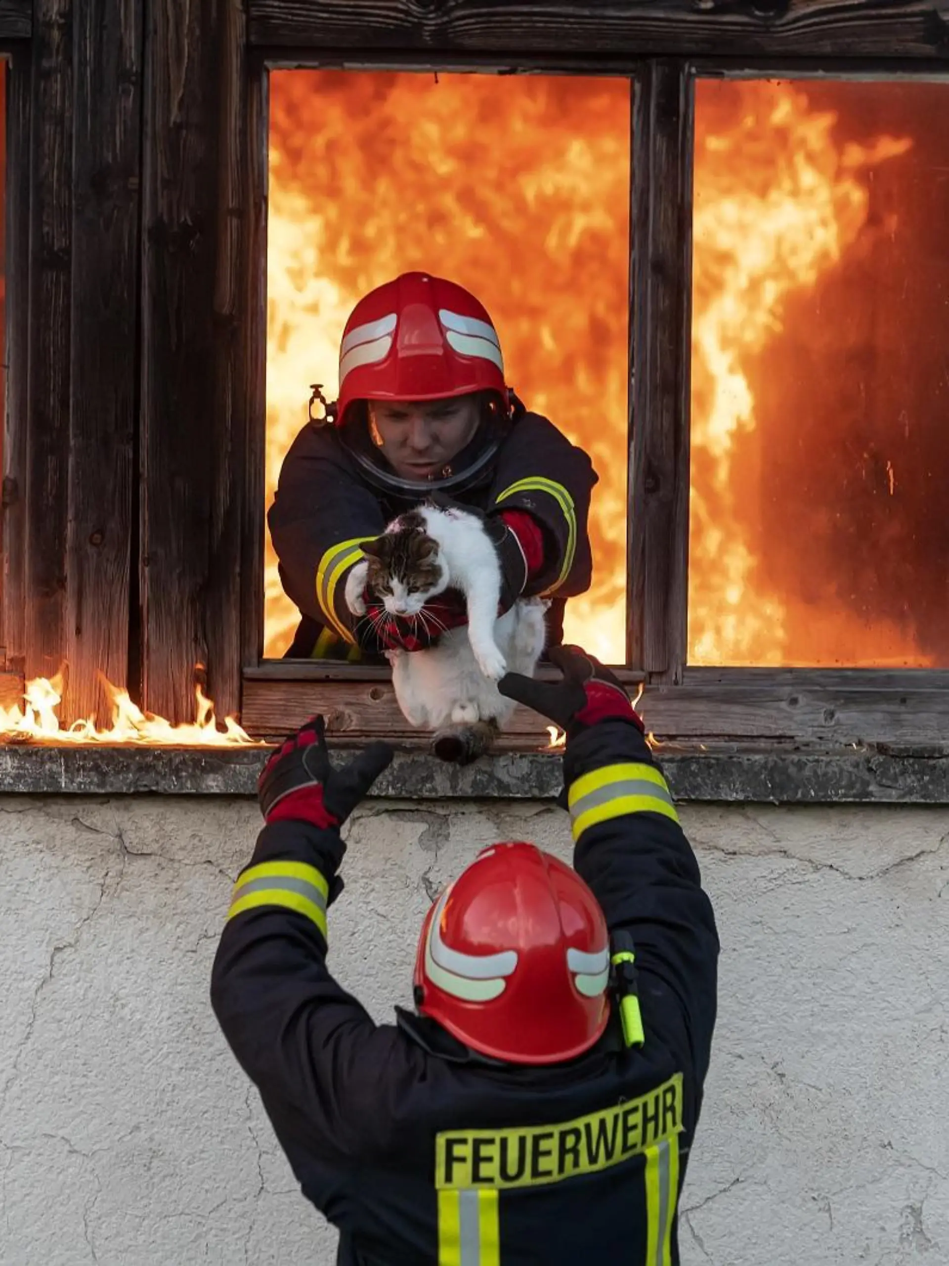 Firefighter hero carrying cat out from burning building area from the fire incident. Rescue animal from a dangerous place. Teamwork concept. High quality photo || Modellfreigabe vorhanden