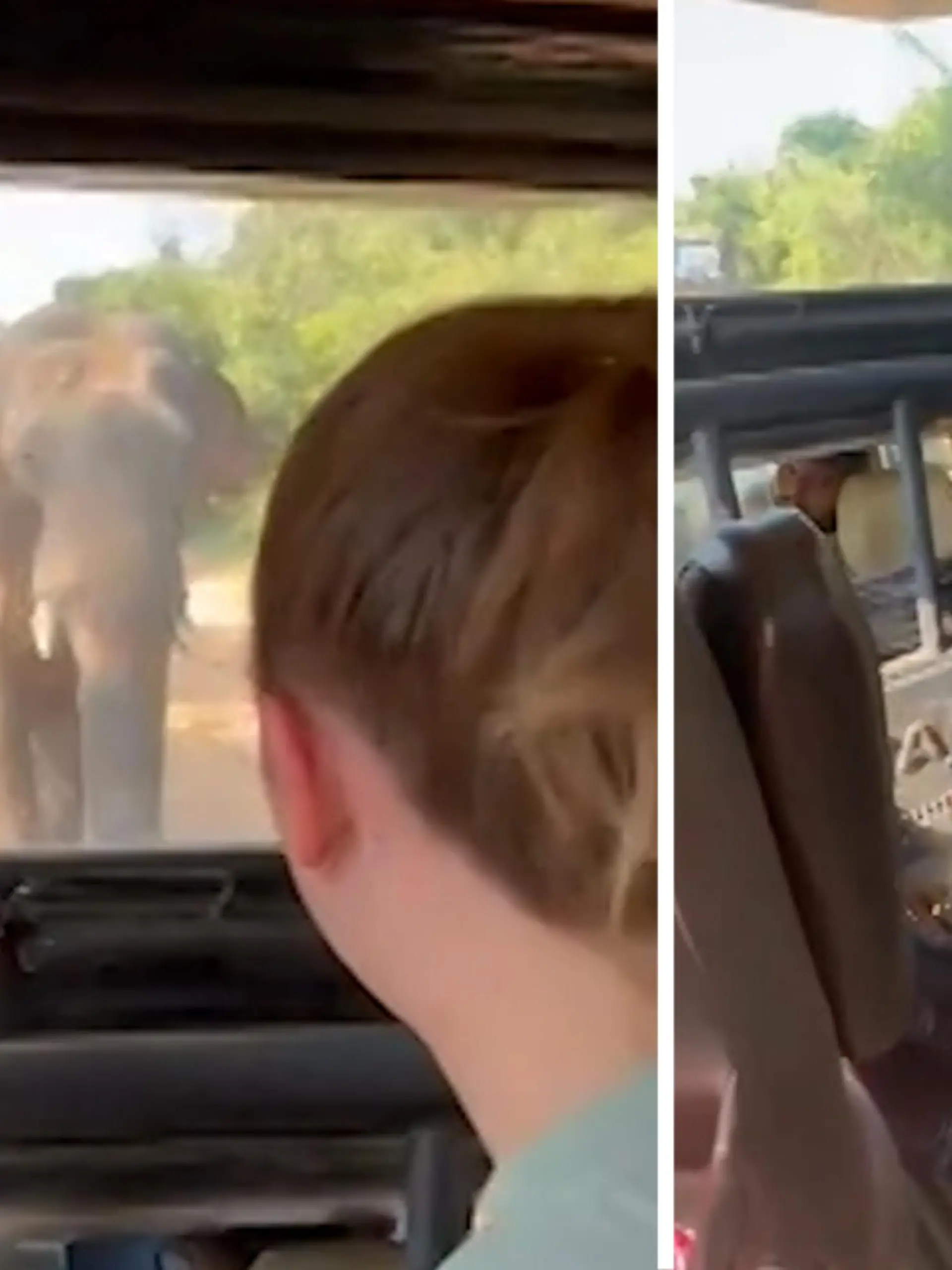 Bei ihm ist der Hunger aber groß!
So groß, dass der Elefant auf die Jagd geht – ausgerechnet bei ein paar Touristen. Mit seinem langen Rüssel durchsucht er den Safari-Jeep nach ein paar Snacks. Nicht ganz ungefährlich für die Insassen, doch der Dickhäuter merkt schnell: hier gibt es nichts zu holen!
Einer bleibt ganz ruhig, wer das ist, erfahrt ihr im Video.
