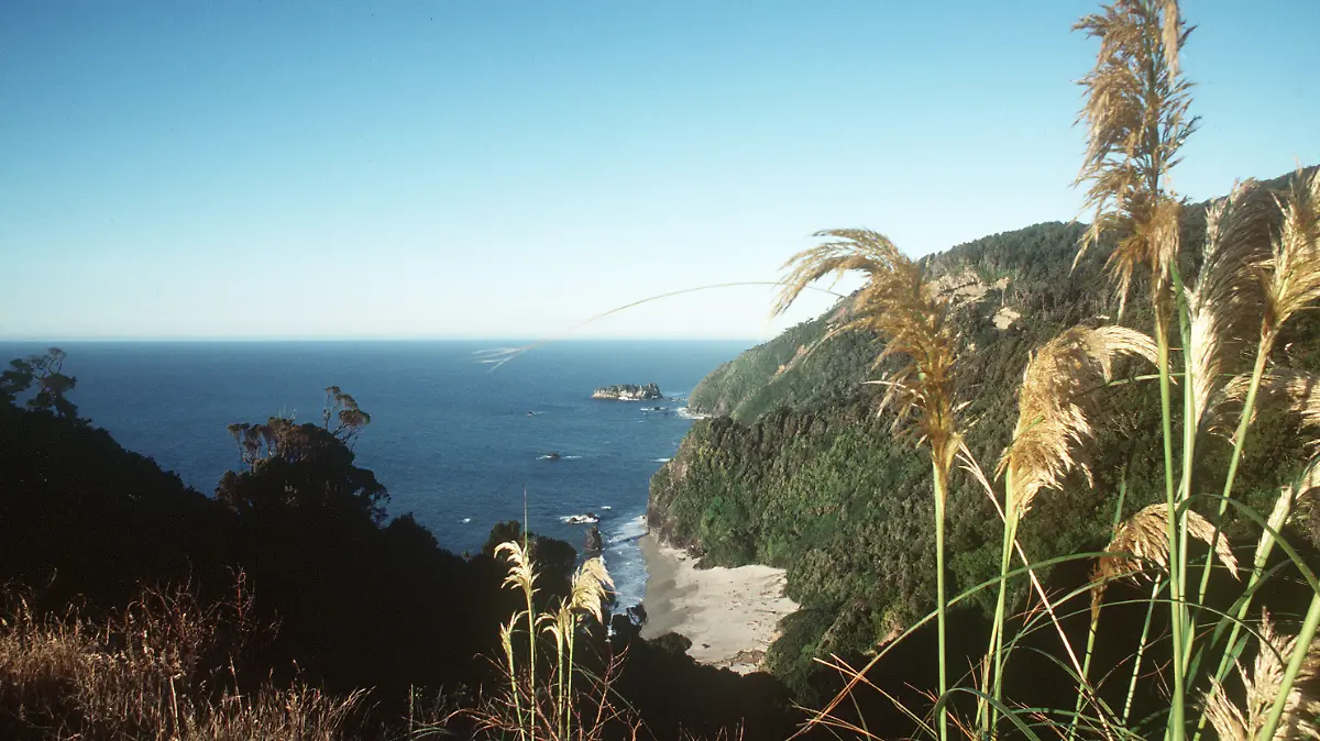 Blick über einen Teil der Westküste bei Haast mit kleinem Sandstrand auf der Südinsel von Neuseeland. (Undatierte Aufnahme). Die Südinsel wird von den teilweise vergletscherten Neuseeländischen Alpen durchzogen, die in Richtung Westen steil zum Tasmansee abfallen und sich nach Osten hin zu weiten Ebenen abdachen, im Süden der Insel sind tiefe Fjorde. Foto: Werner R. Schilling +++(c) dpa - Report+++