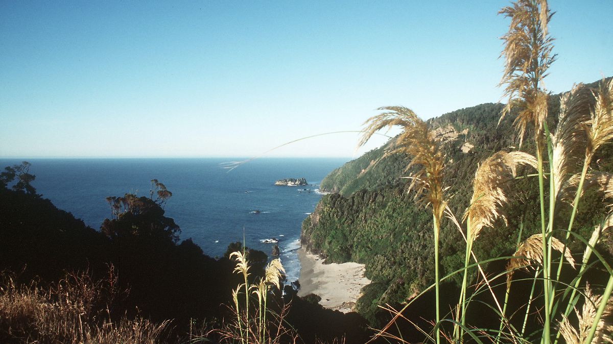 England Tracey hat keine Kraft mehr! Krebskranke (57) entscheidet sich