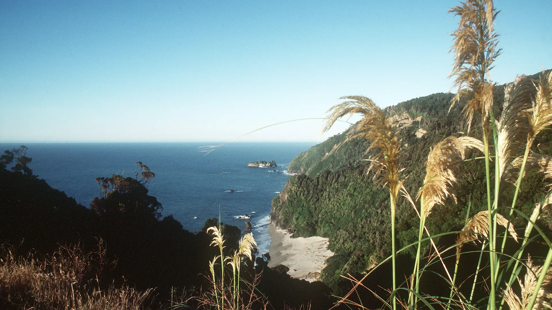 Blick über einen Teil der Westküste bei Haast mit kleinem Sandstrand auf der Südinsel von Neuseeland. (Undatierte Aufnahme). Die Südinsel wird von den teilweise vergletscherten Neuseeländischen Alpen durchzogen, die in Richtung Westen steil zum Tasmansee abfallen und sich nach Osten hin zu weiten Ebenen abdachen, im Süden der Insel sind tiefe Fjorde. Foto: Werner R. Schilling +++(c) dpa - Report+++