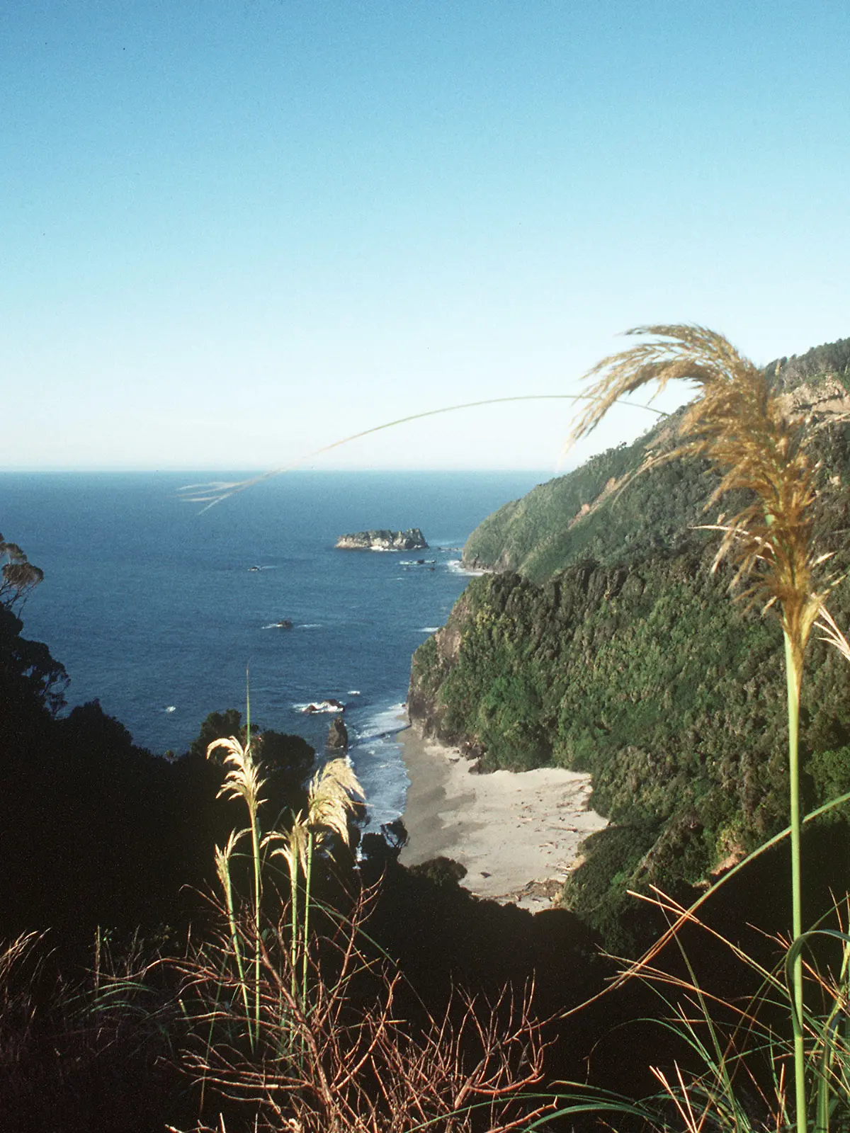 Blick über einen Teil der Westküste bei Haast mit kleinem Sandstrand auf der Südinsel von Neuseeland. (Undatierte Aufnahme). Die Südinsel wird von den teilweise vergletscherten Neuseeländischen Alpen durchzogen, die in Richtung Westen steil zum Tasmansee abfallen und sich nach Osten hin zu weiten Ebenen abdachen, im Süden der Insel sind tiefe Fjorde. Foto: Werner R. Schilling +++(c) dpa - Report+++
