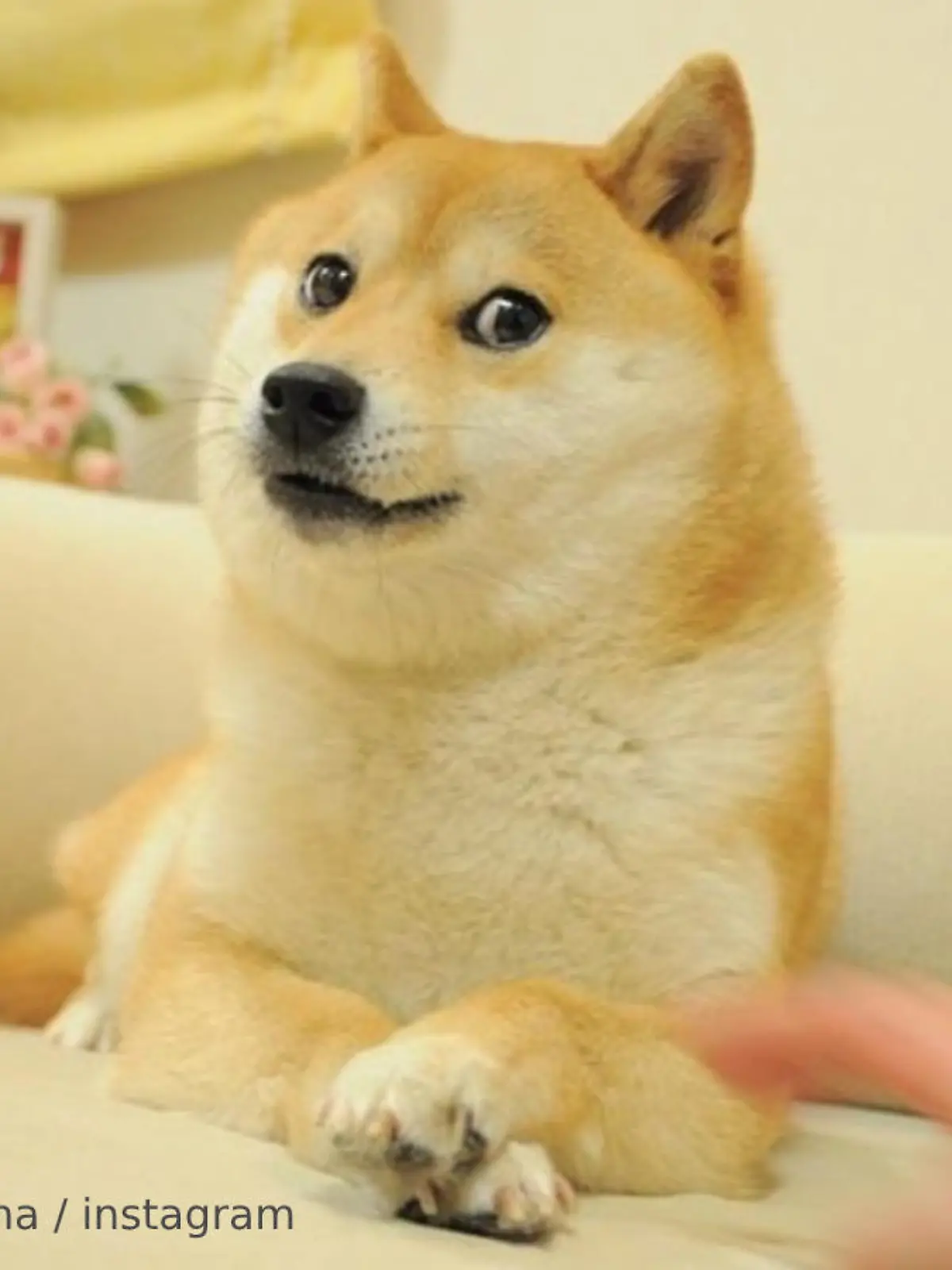 Kabosumeme