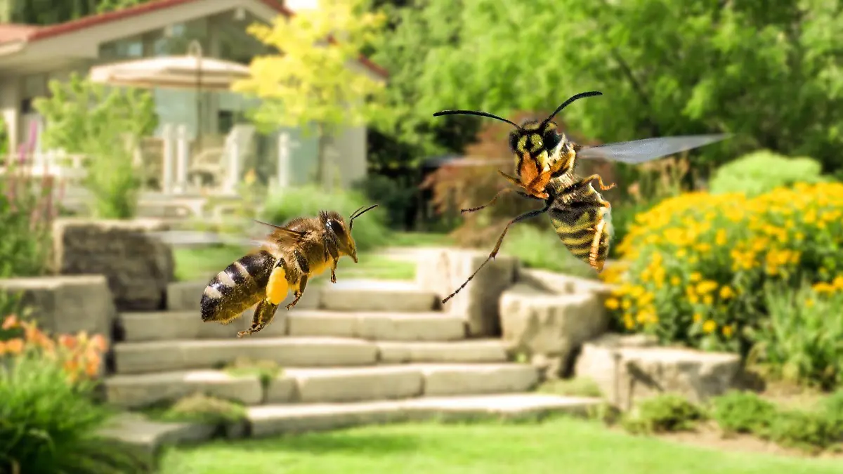 Die Insekten sind wieder los