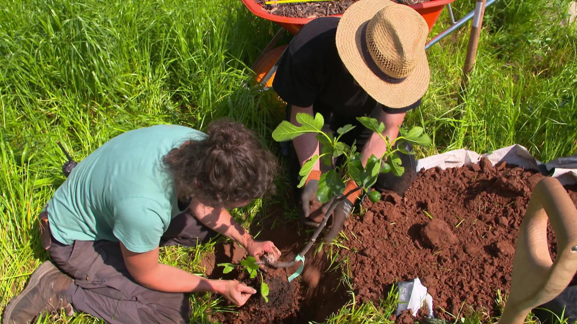 Johanna und Justus haben bereits im Frühling erste Bäume eingepflanzt und warten nun auf die erste Ernte.