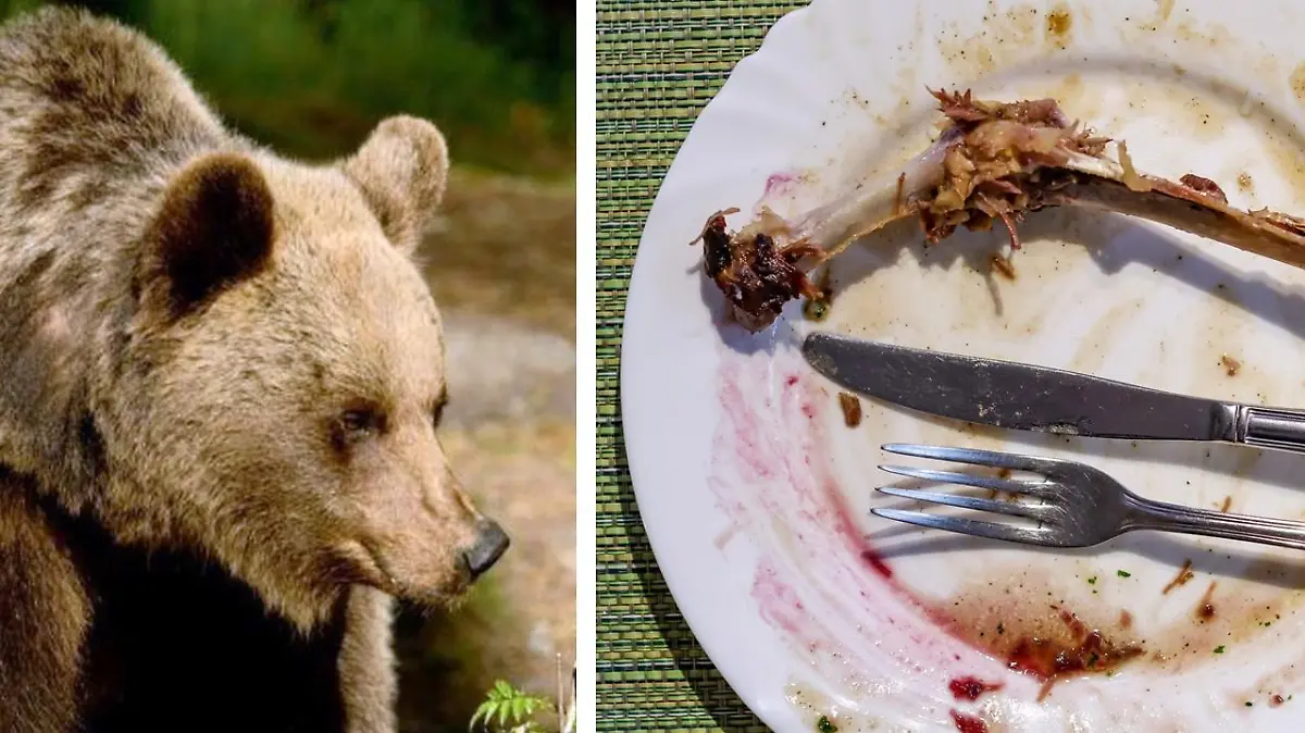 Die ganze Familie verspeist das Fleisch eines Bären. (Symbolbild)