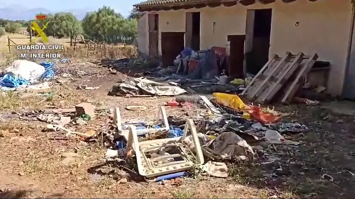 Zwölf Hunde mussten auf dem dreckigen Gelände leben.