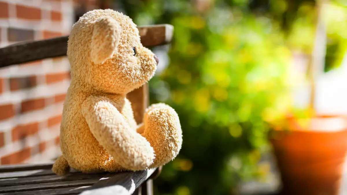 Teddy sitzt allein auf einer Bank