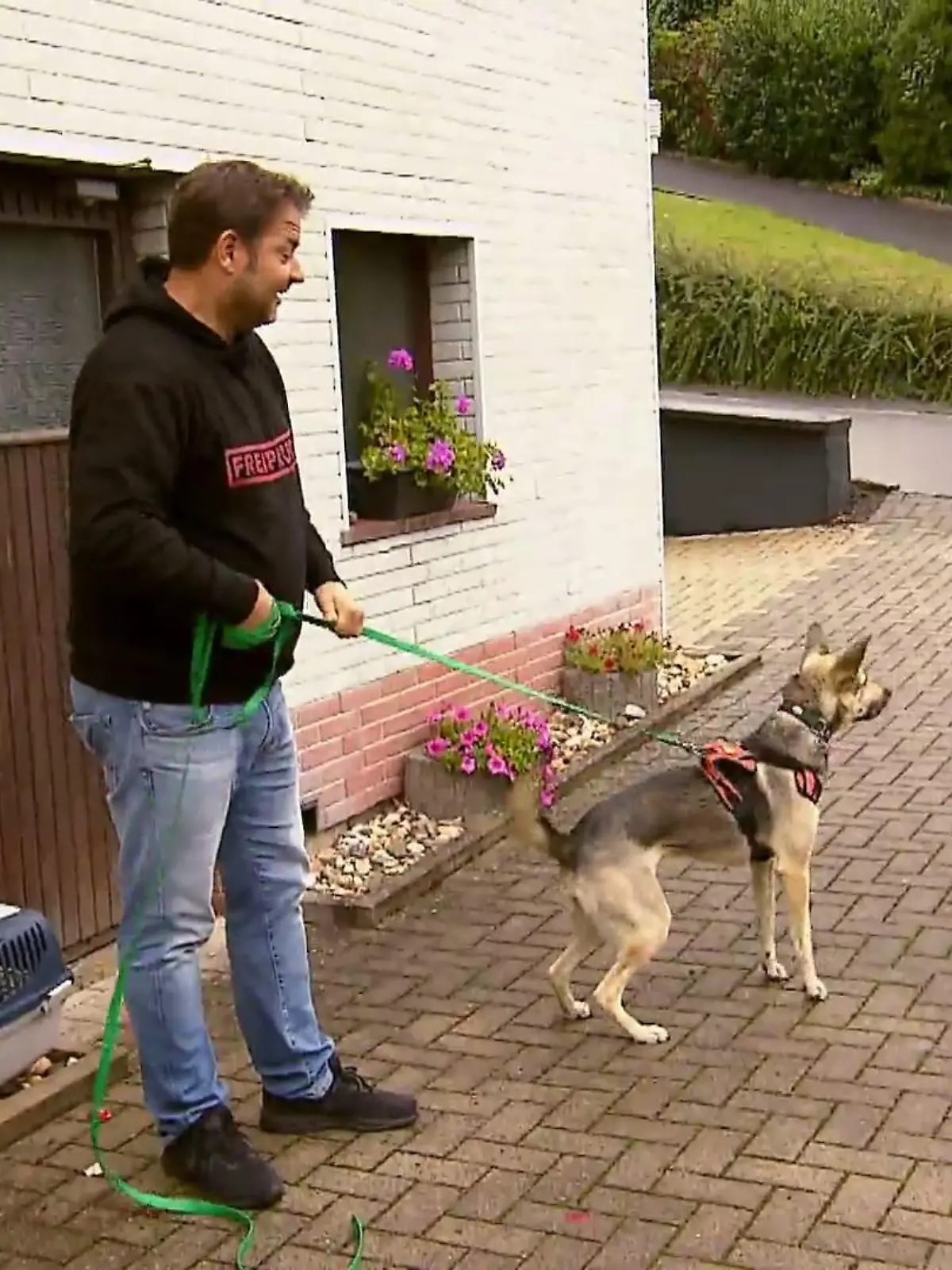 Bild zu: "Wie reagiert Marla auf Katze Tinka?"
