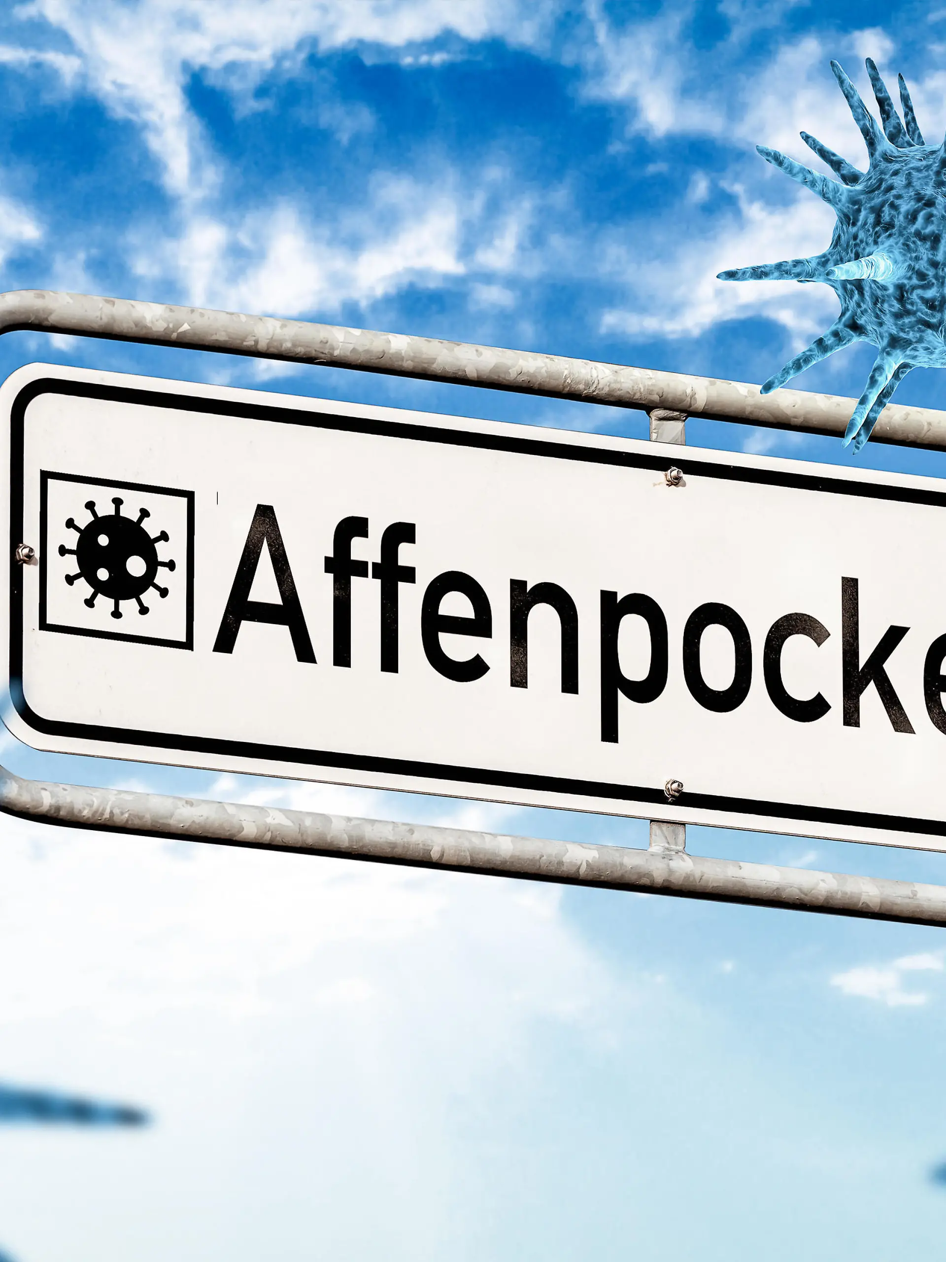 Schild mit der Aufschrift Affenpocken, die Affenpocken sind eine Viruserkrankung bei Affen FOTOMONTAGE