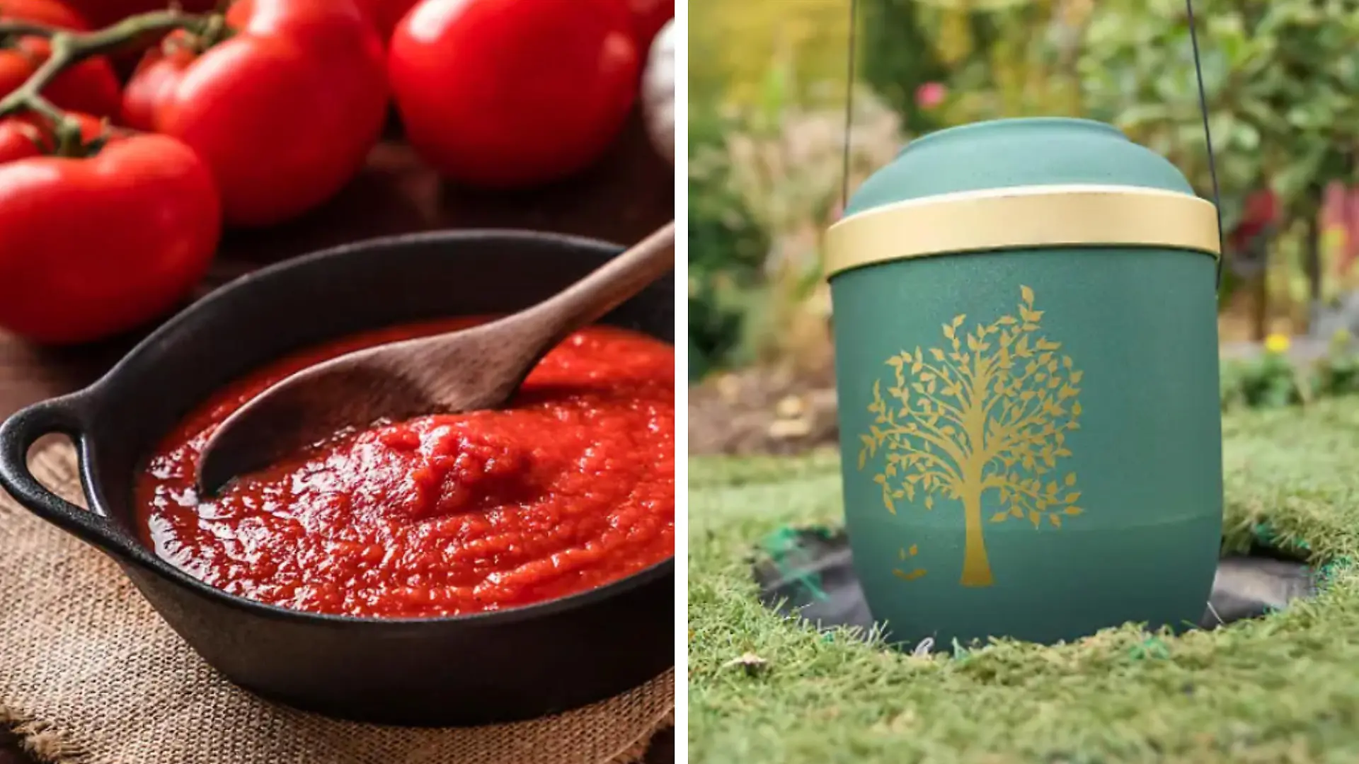 Pastasauce und Urna