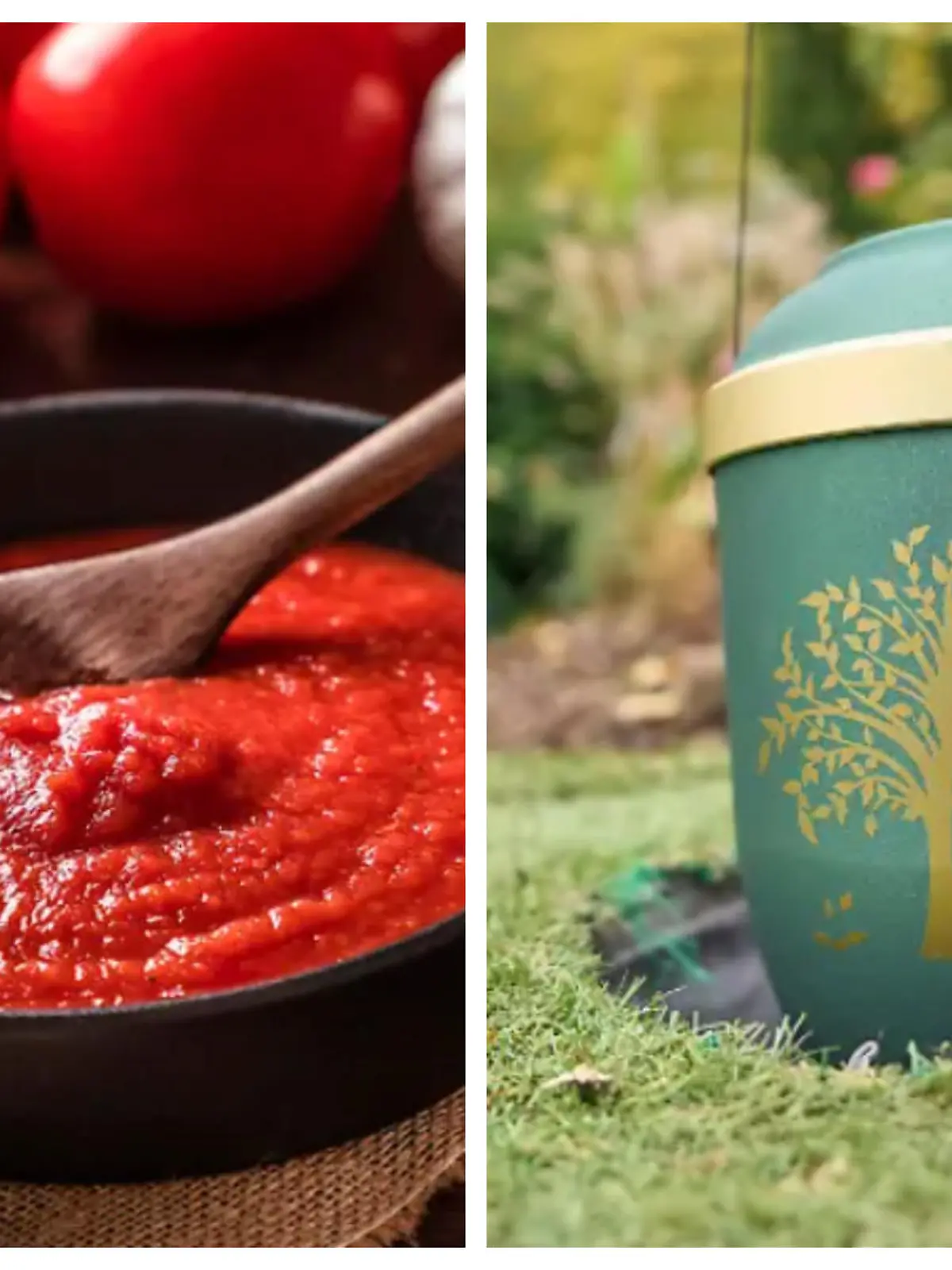 Pastasauce und Urna